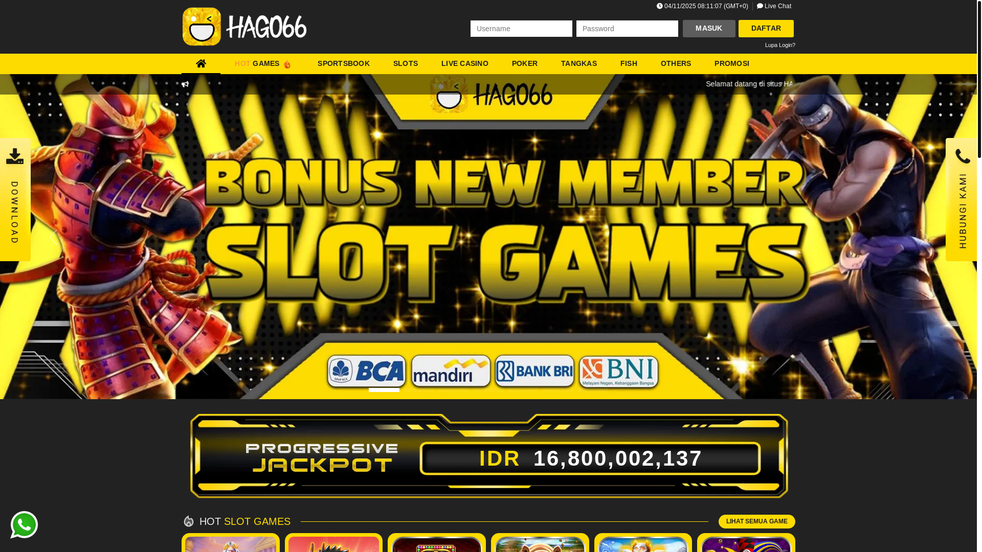 website screenshot of https://hago66.online/