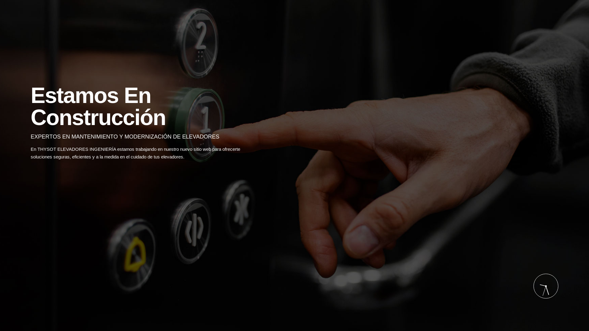 website screenshot of https://thysotelevadores.com.co/