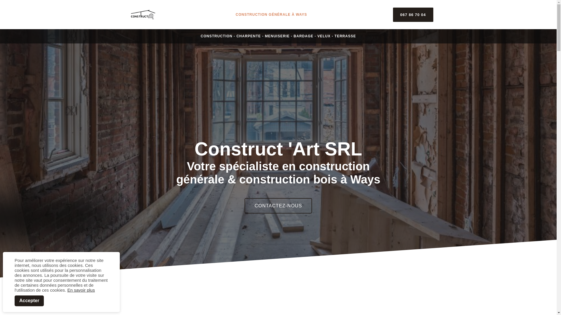 website screenshot of https://constructart.be/