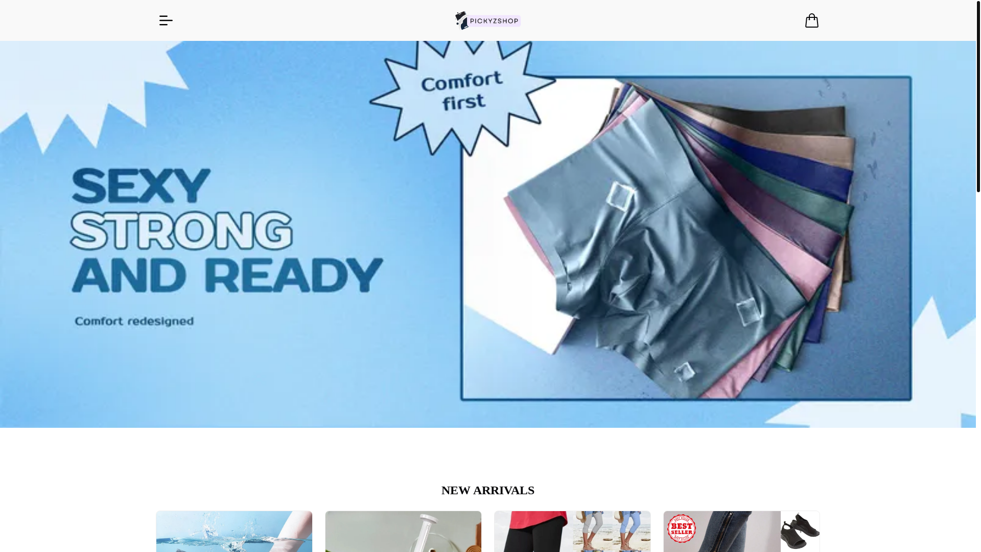 website screenshot of https://pickyzshop.com/