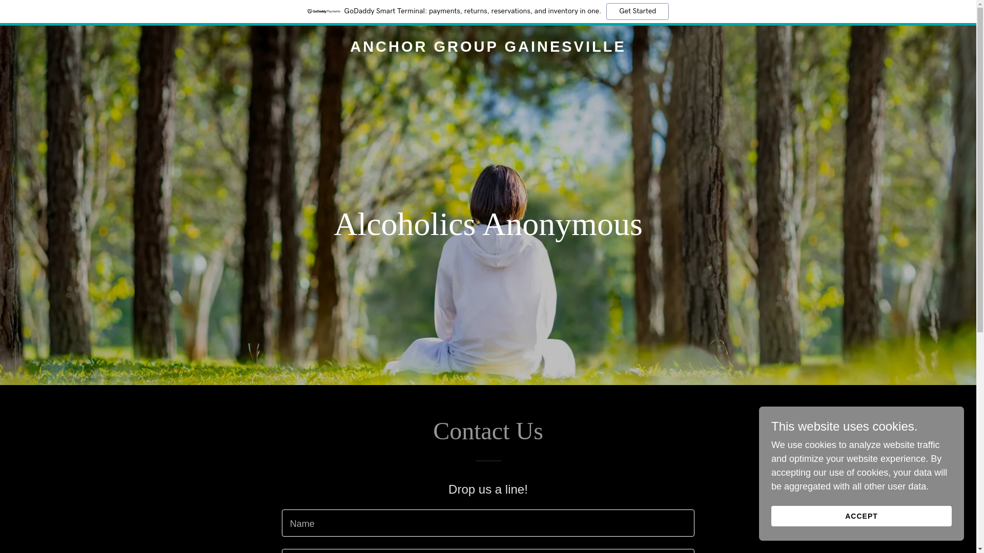 website screenshot of https://aa-anchorgroup-gainesville.com/