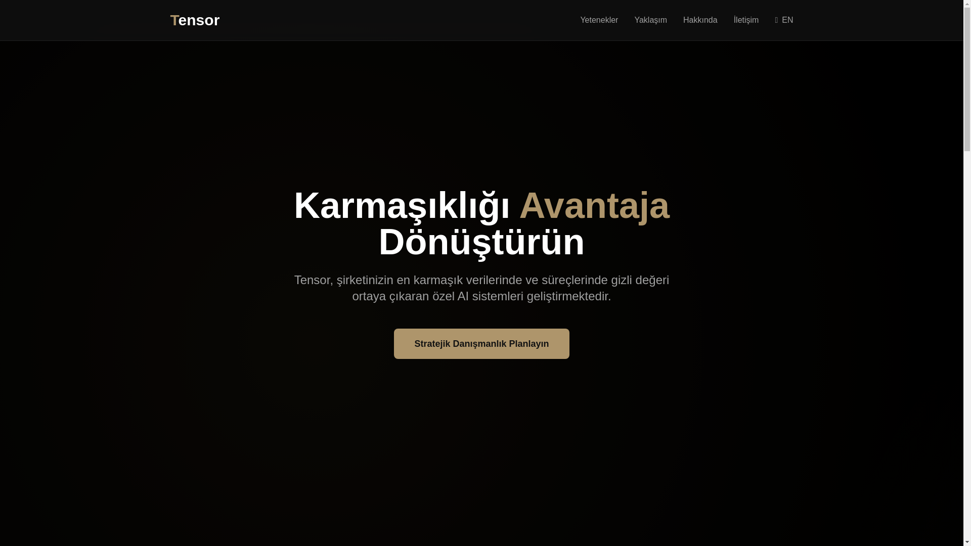 website screenshot of https://tensor-as-website.pages.dev/