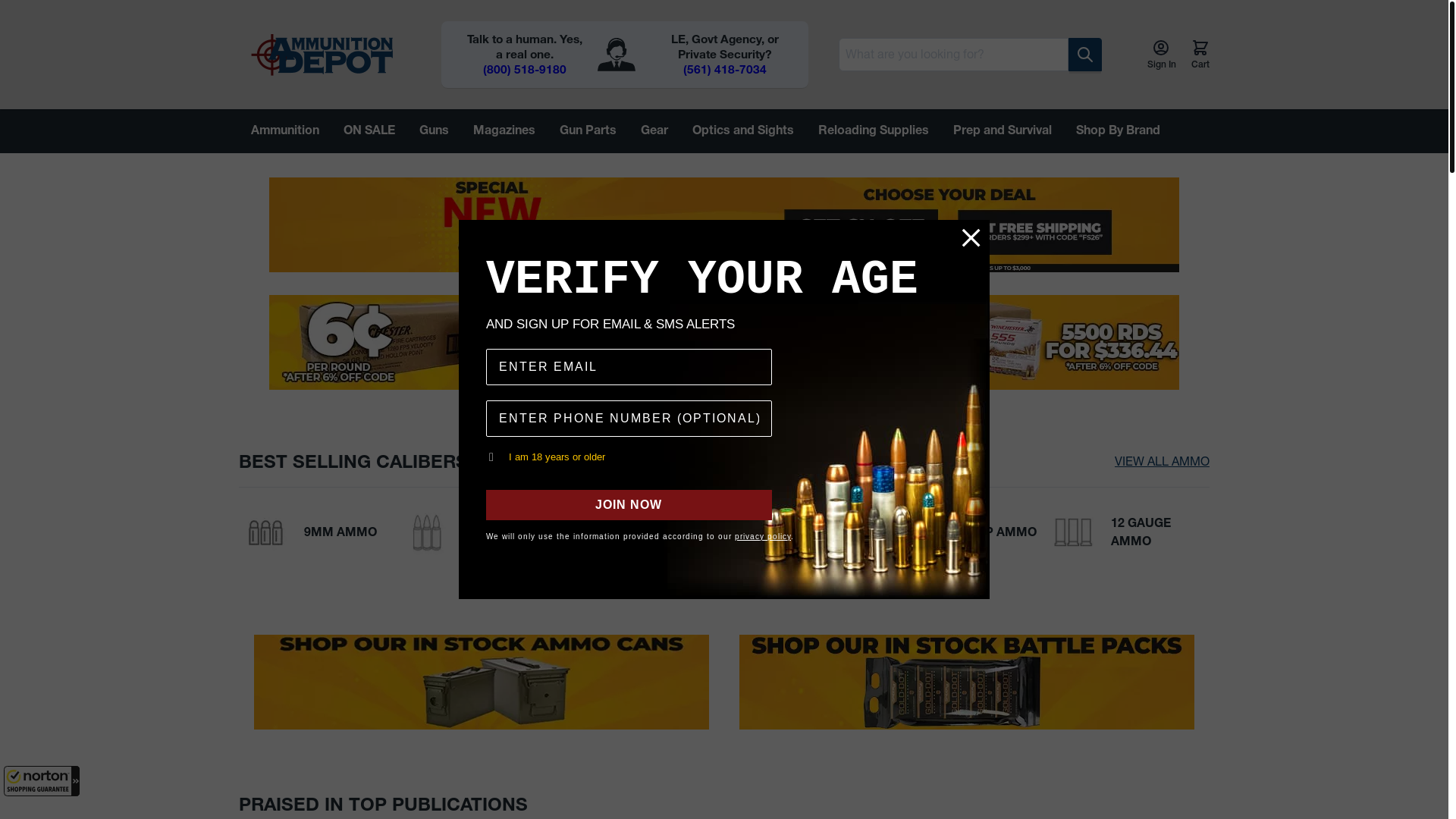 website screenshot of https://levergun-express.com/