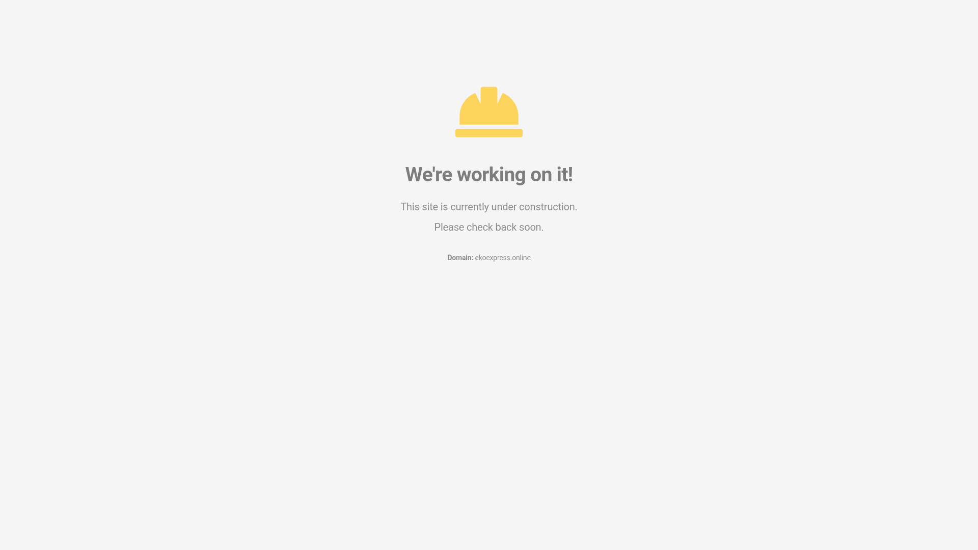 website screenshot of https://ekoexpress.online/