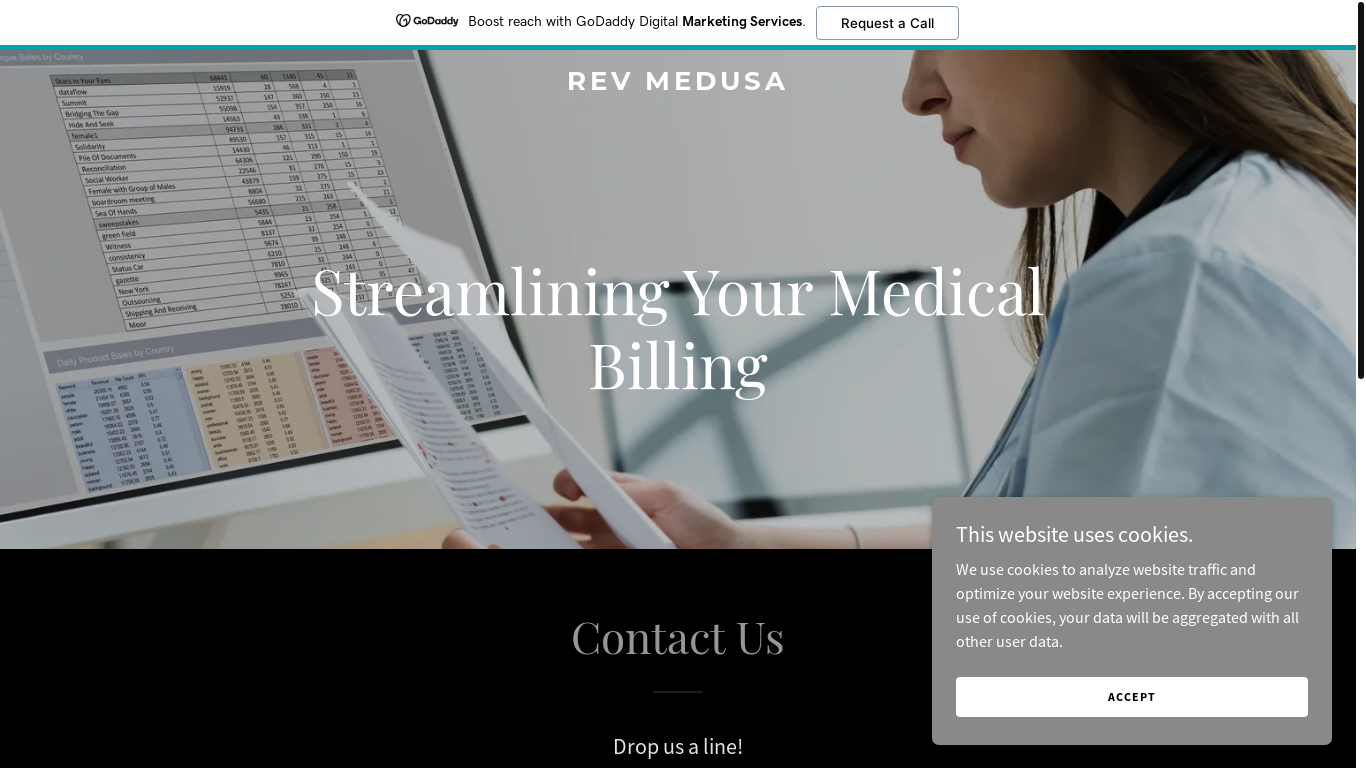 website screenshot of https://revmedusa.com/