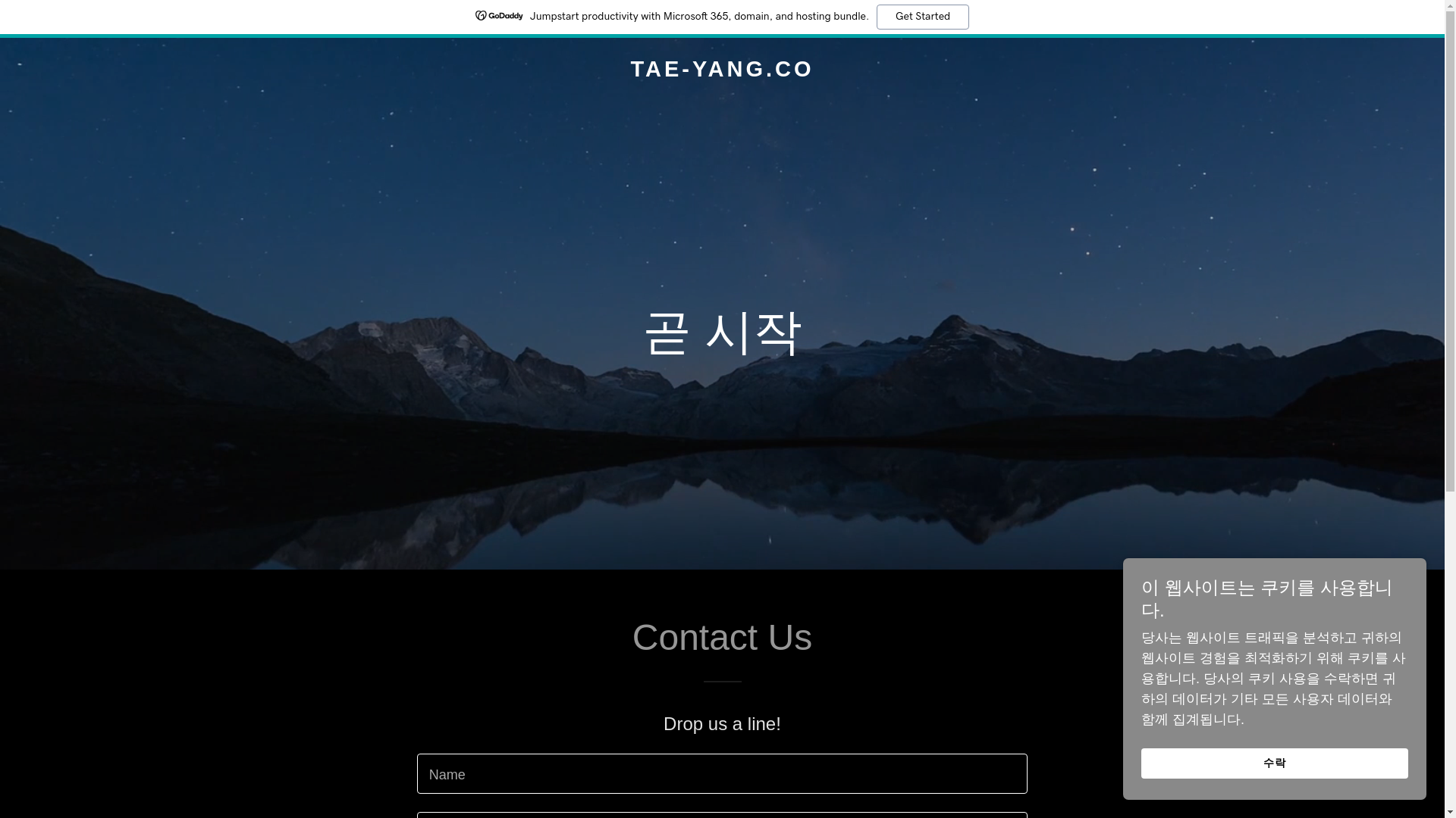 website screenshot of https://tae-yang.co/