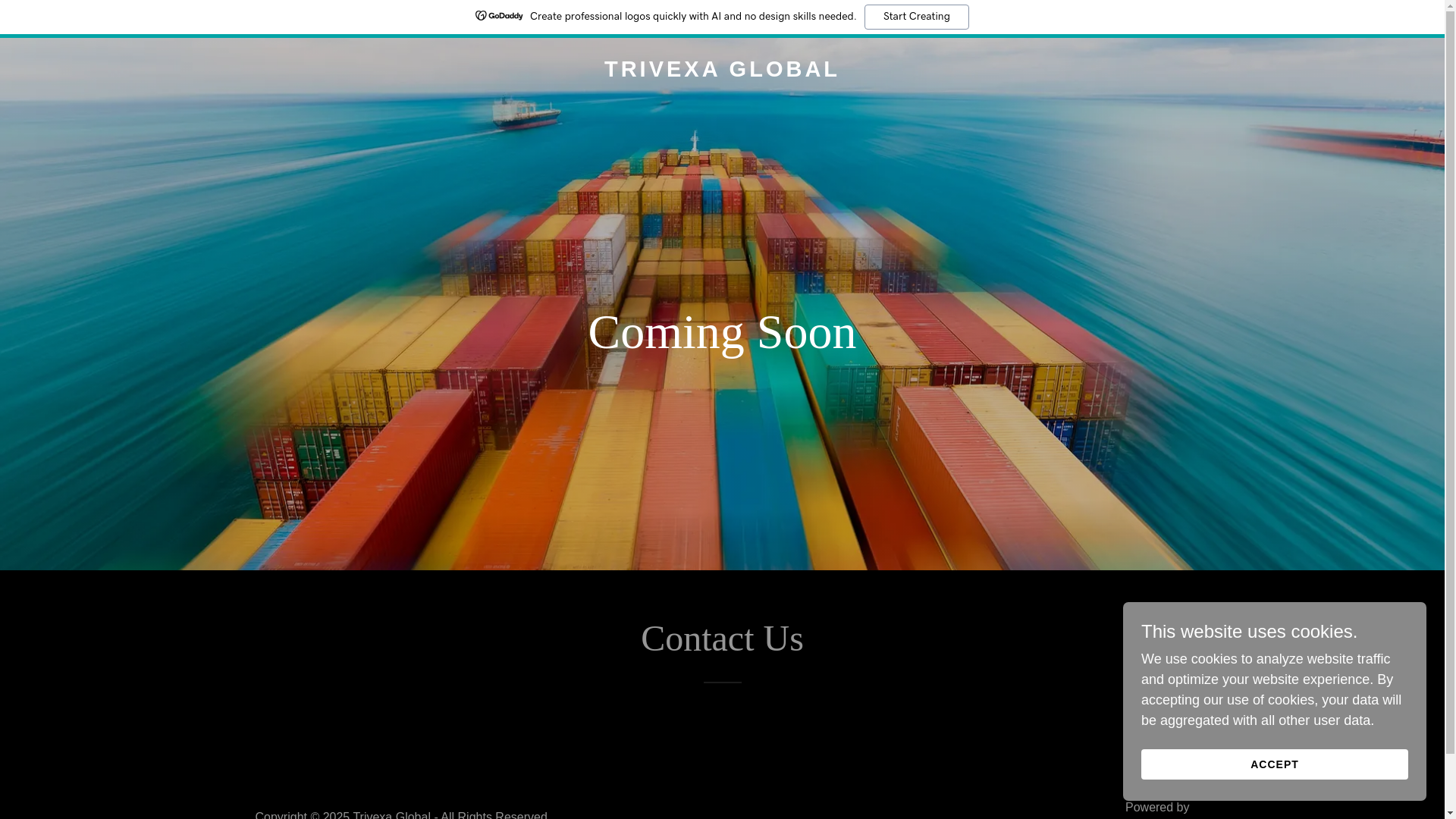 website screenshot of https://trivexaglobal.com/