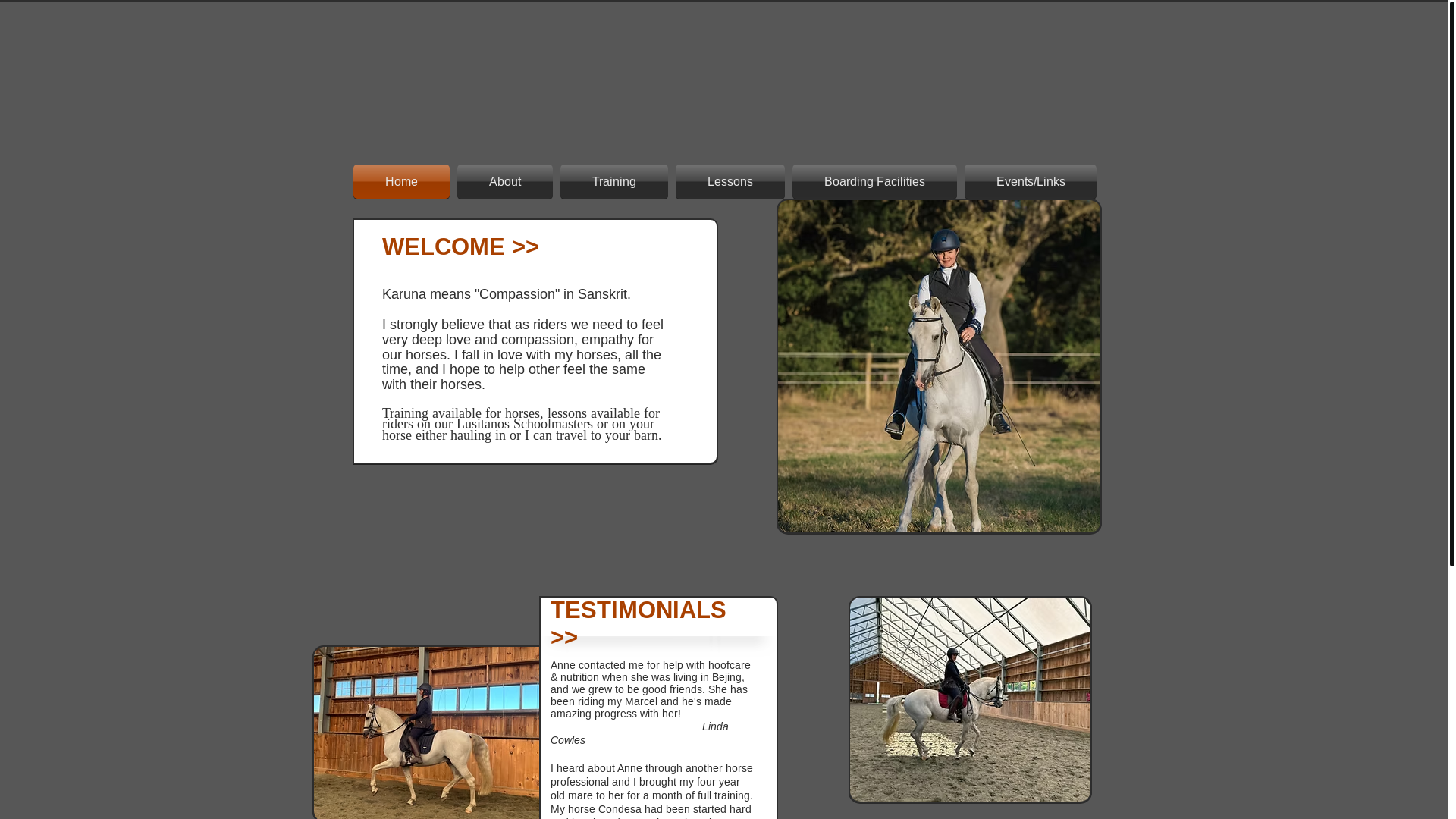 website screenshot of https://karunastables.com/