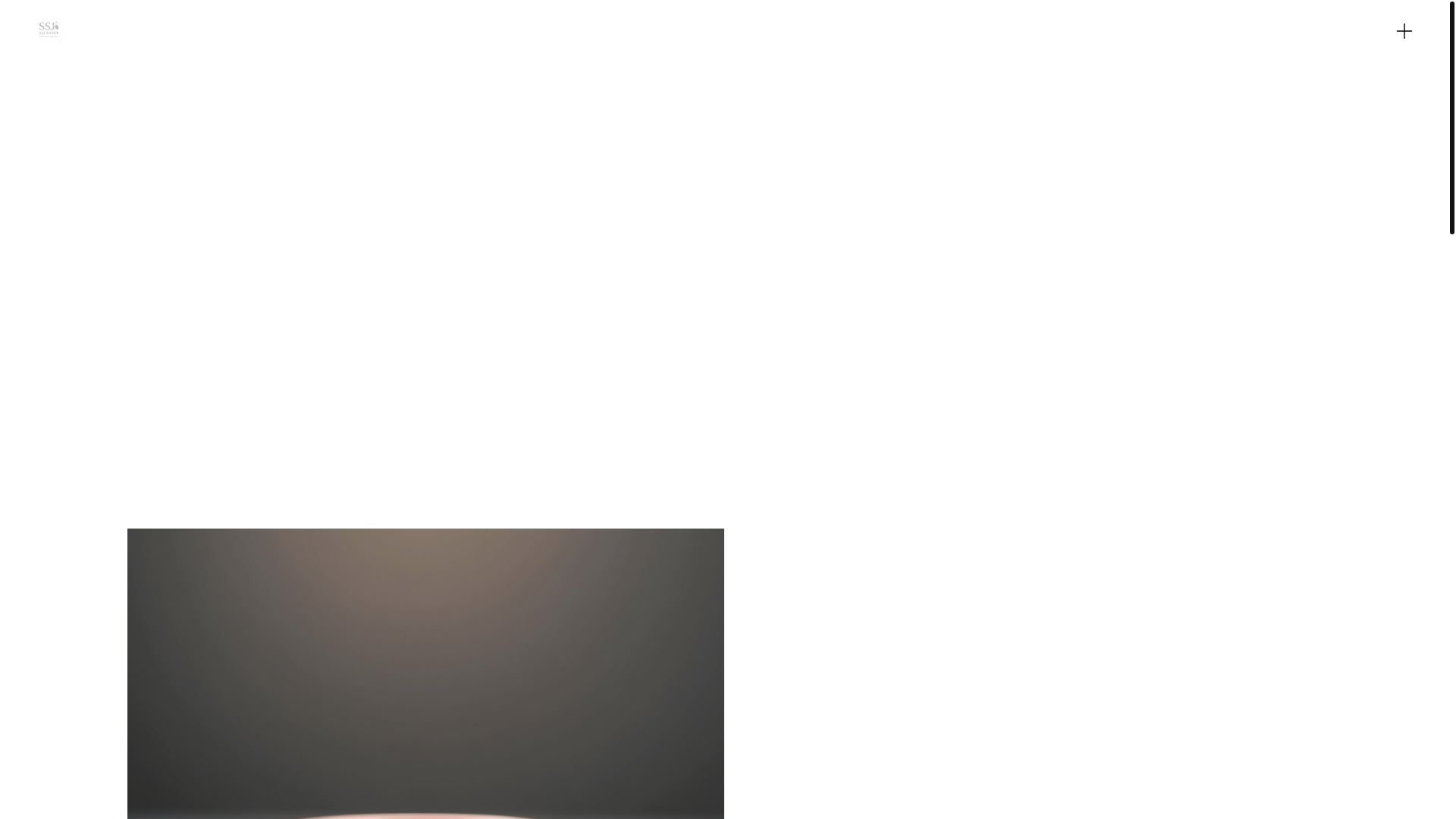 website screenshot of https://ssjsilver.com/