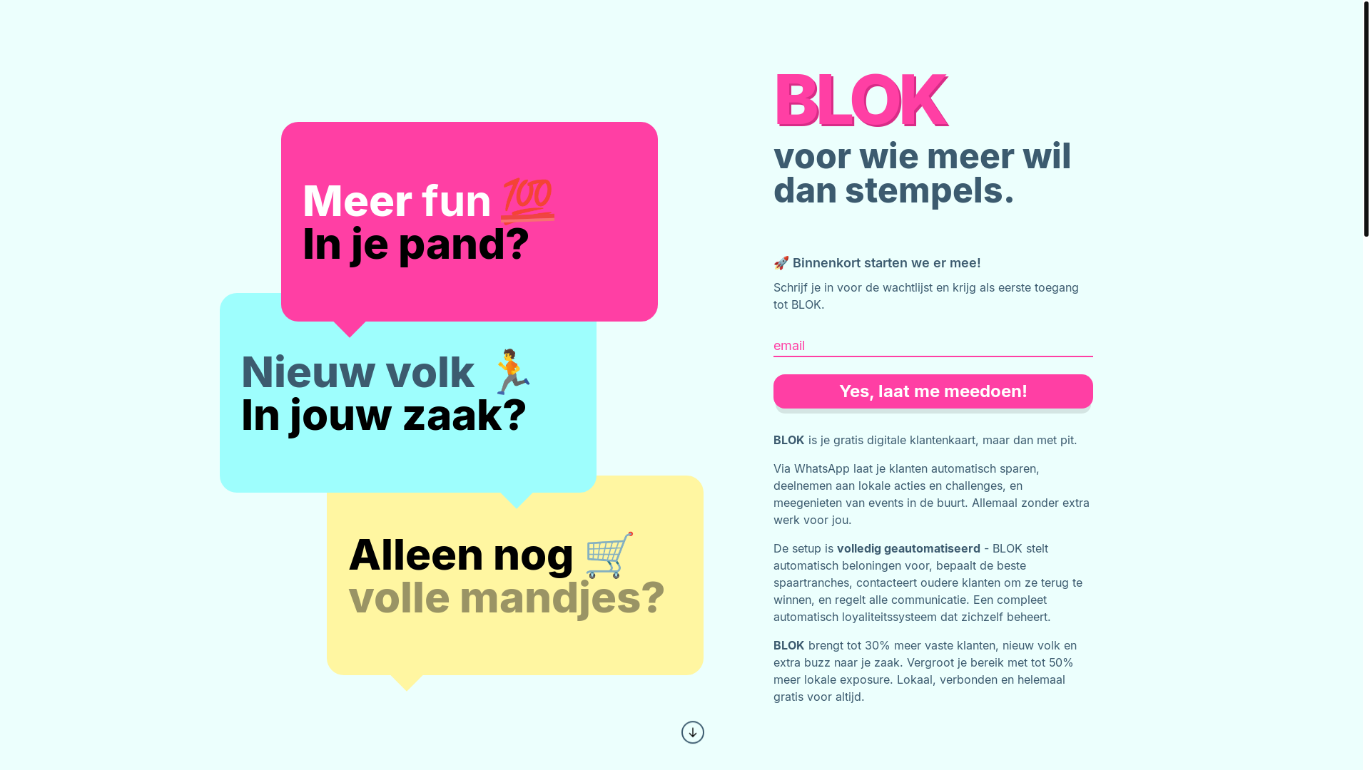 website screenshot of https://scanblok.com/