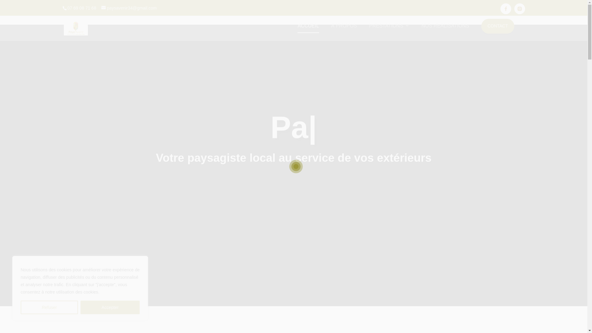 website screenshot of https://pays-avenir.com/