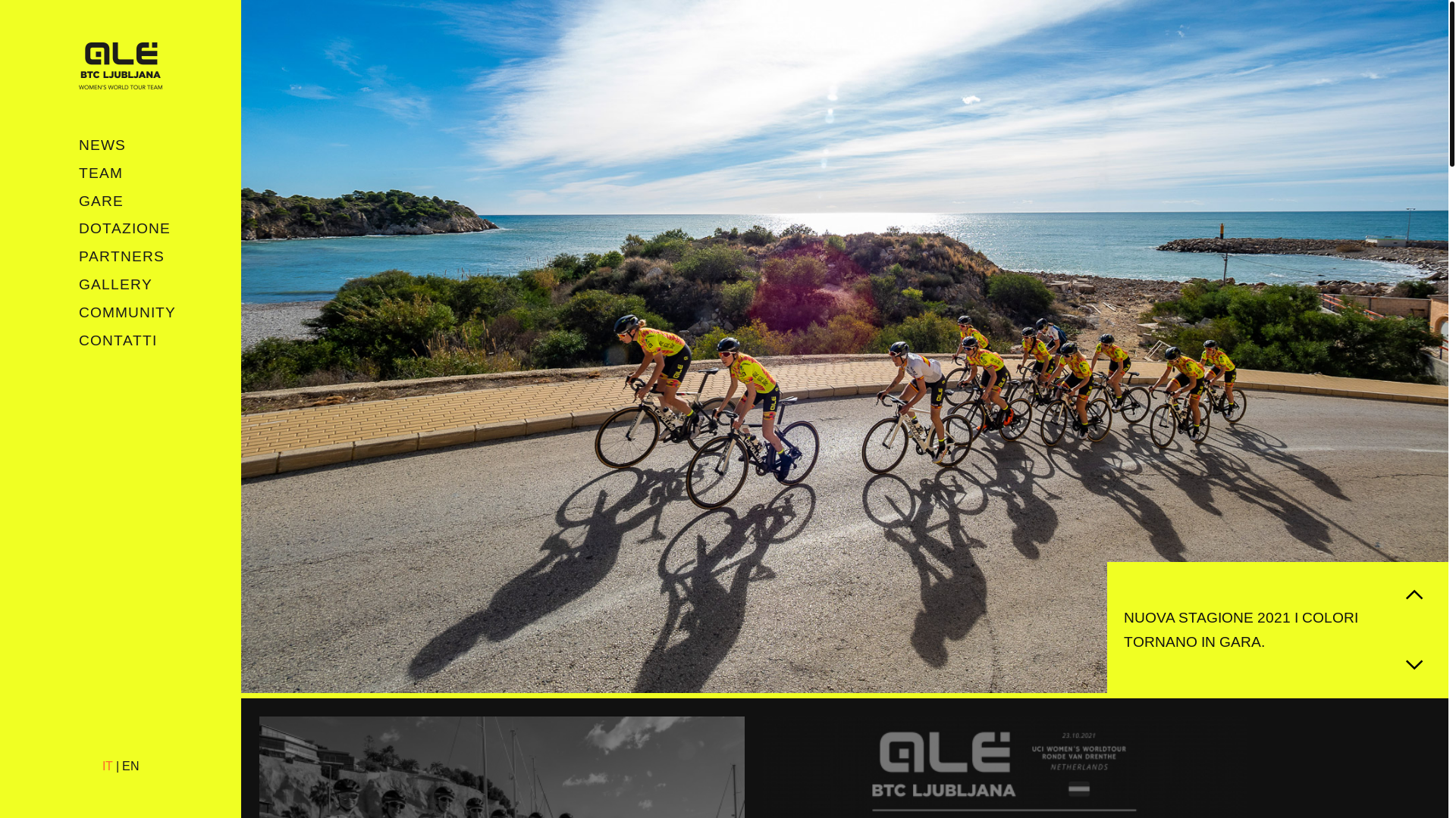 website screenshot of https://alecipolliniteam-com.pages.dev/