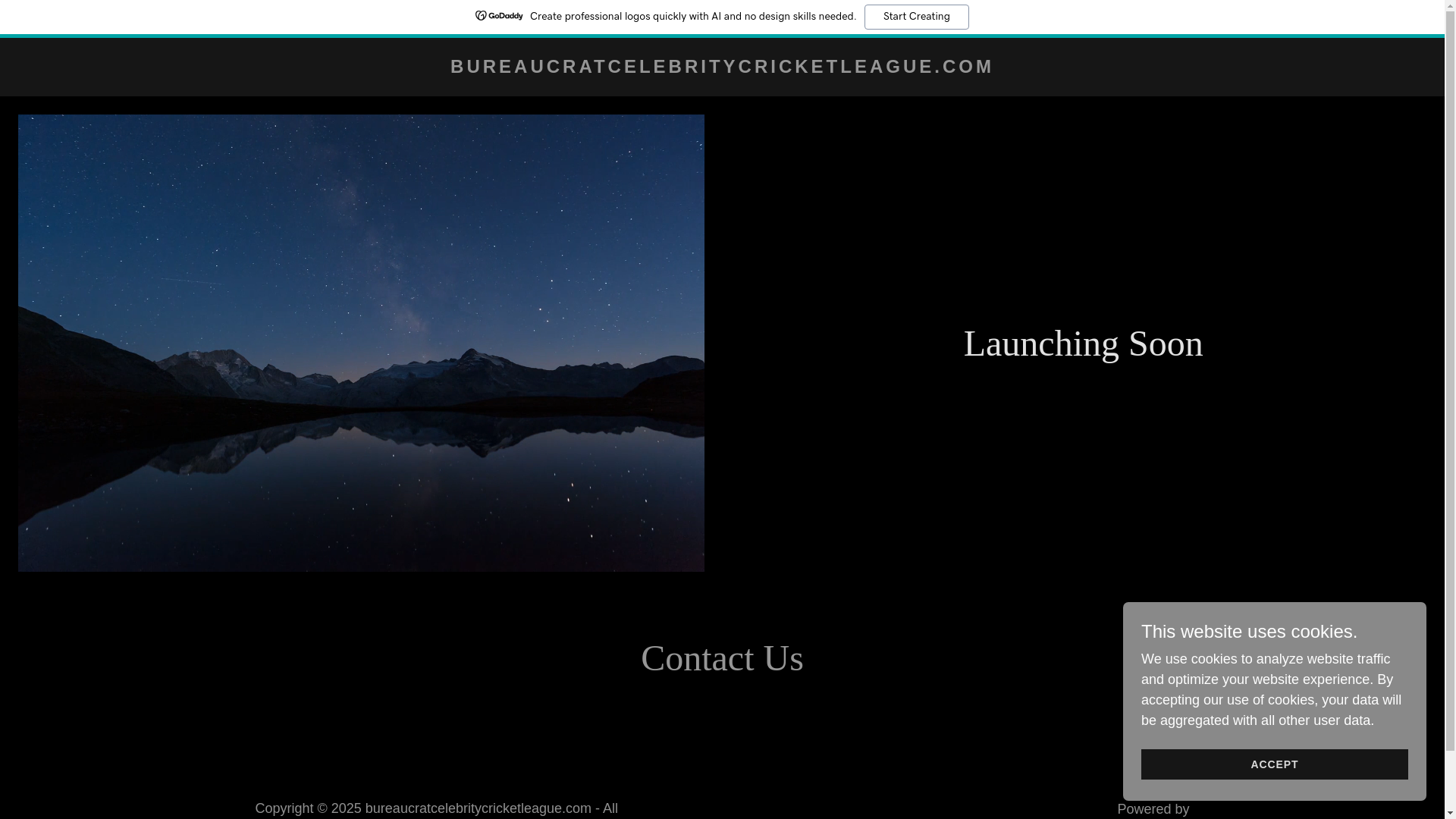 website screenshot of https://bureaucratcelebritycricketleague.com/