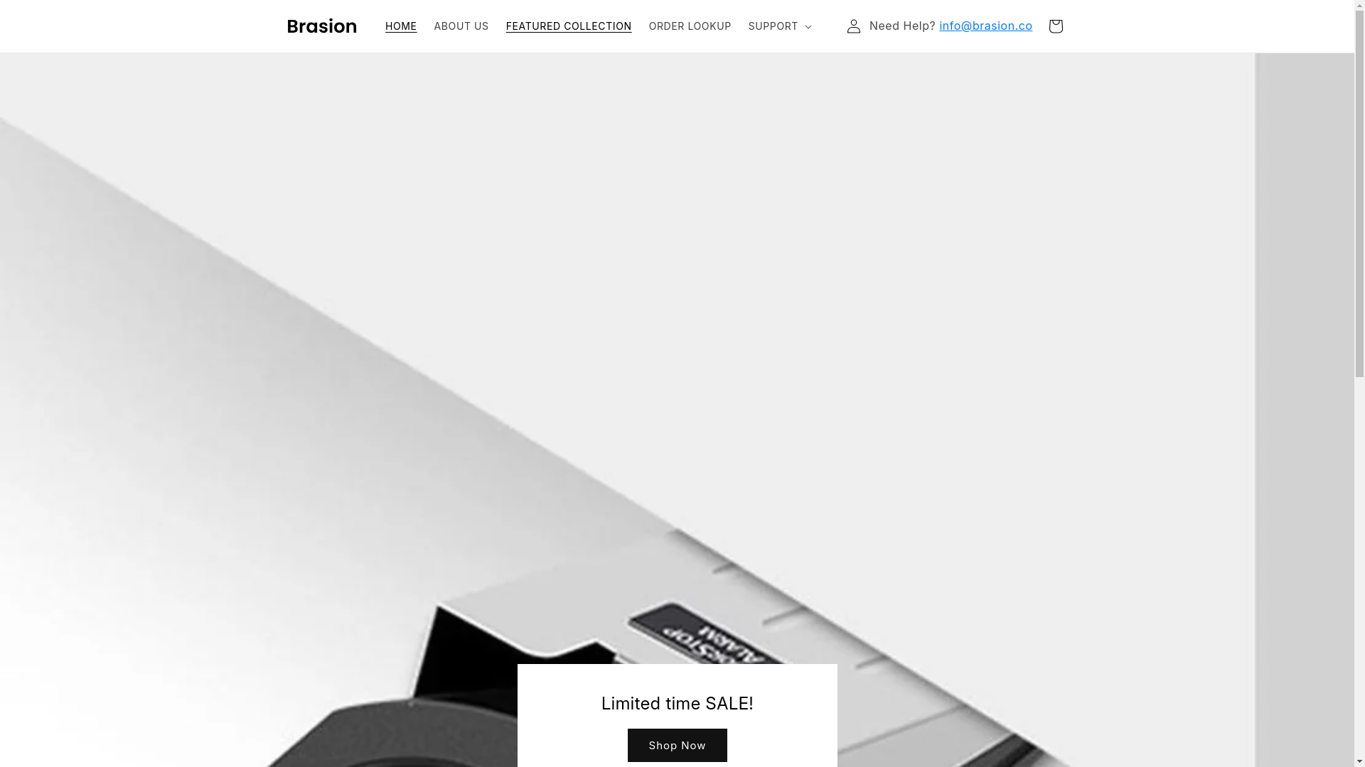 website screenshot of https://brasion.co/