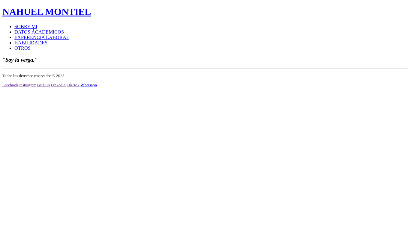 website screenshot of https://cv-nahuelmontiel.pages.dev/