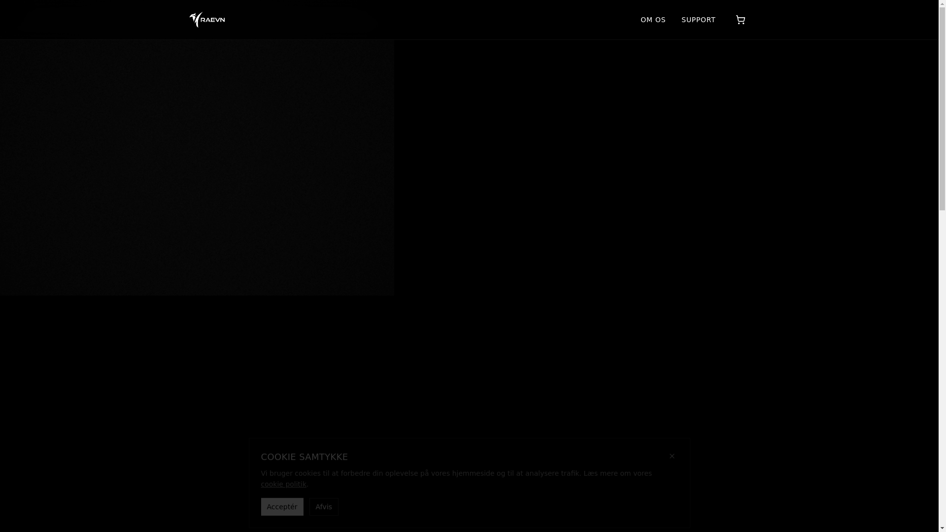 website screenshot of https://raevn.dk/