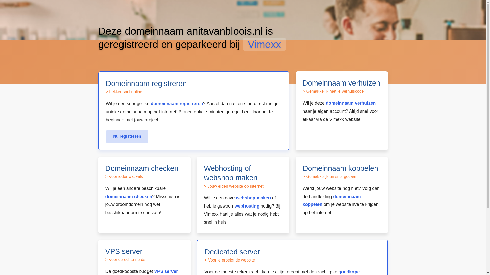 website screenshot of https://anitavanbloois.nl/