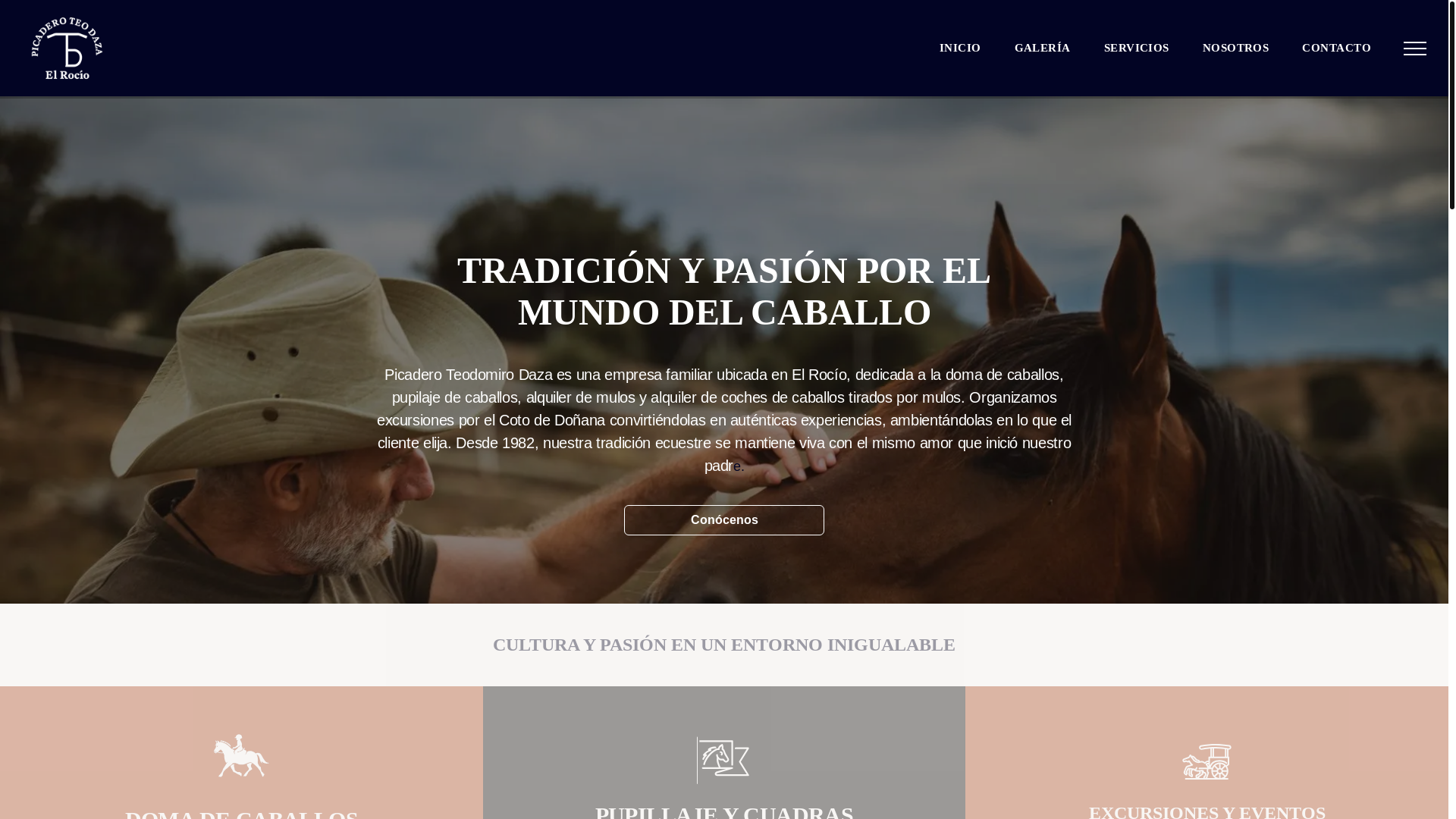 website screenshot of https://picaderoteodomirodaza.com/