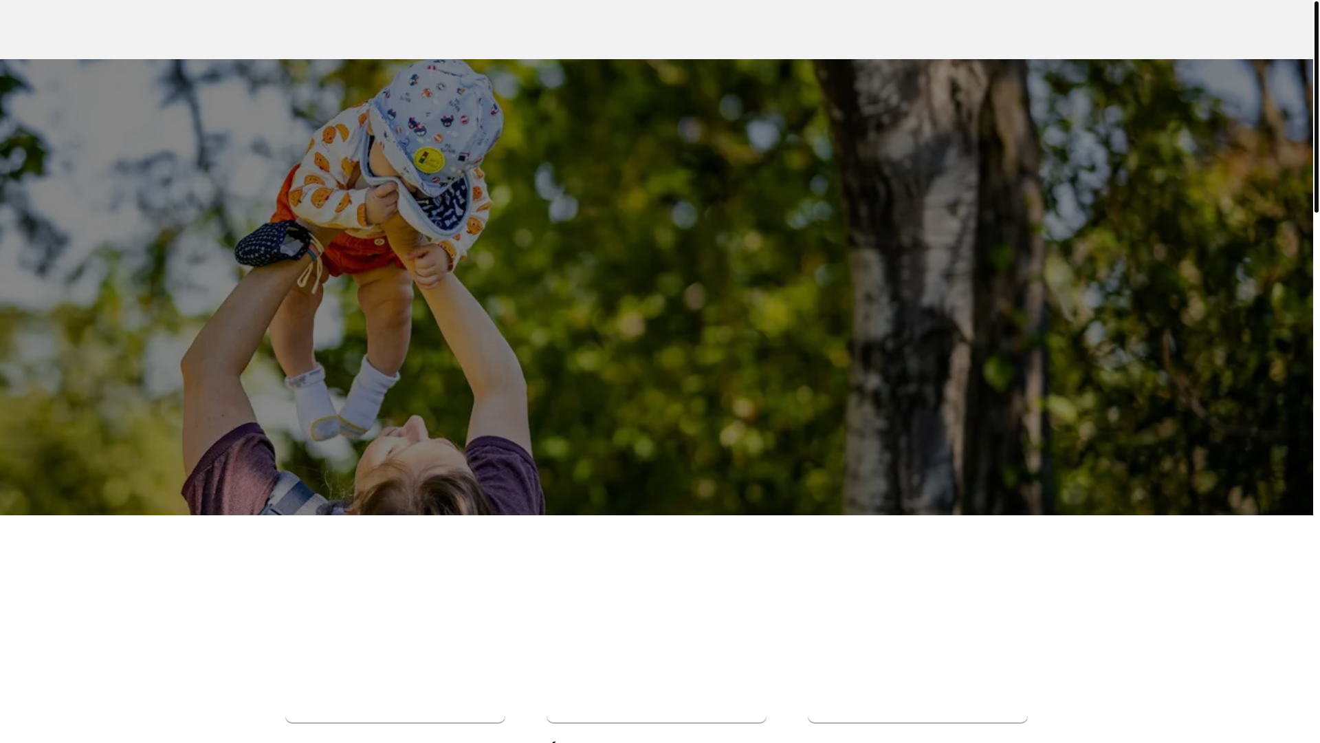 website screenshot of https://agyneco.com/