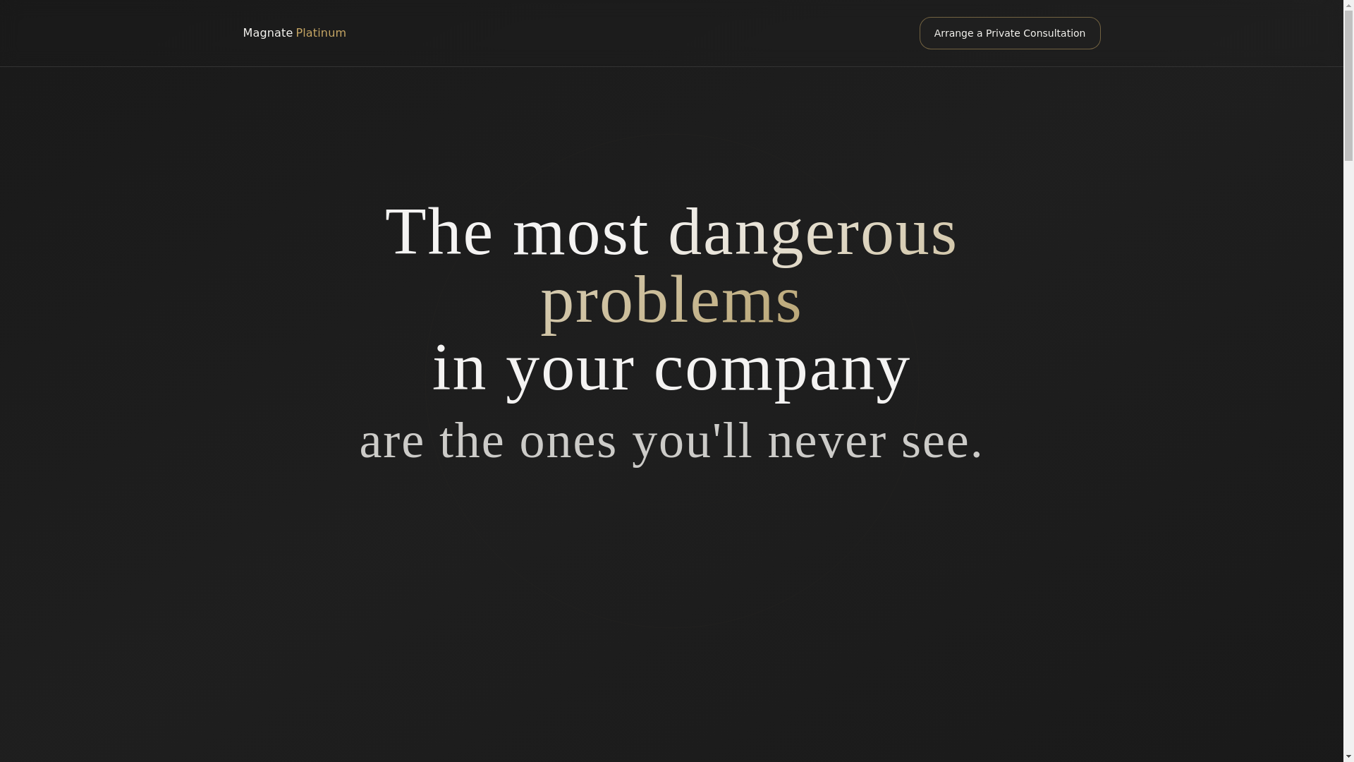 website screenshot of https://magnateplatinum.com/