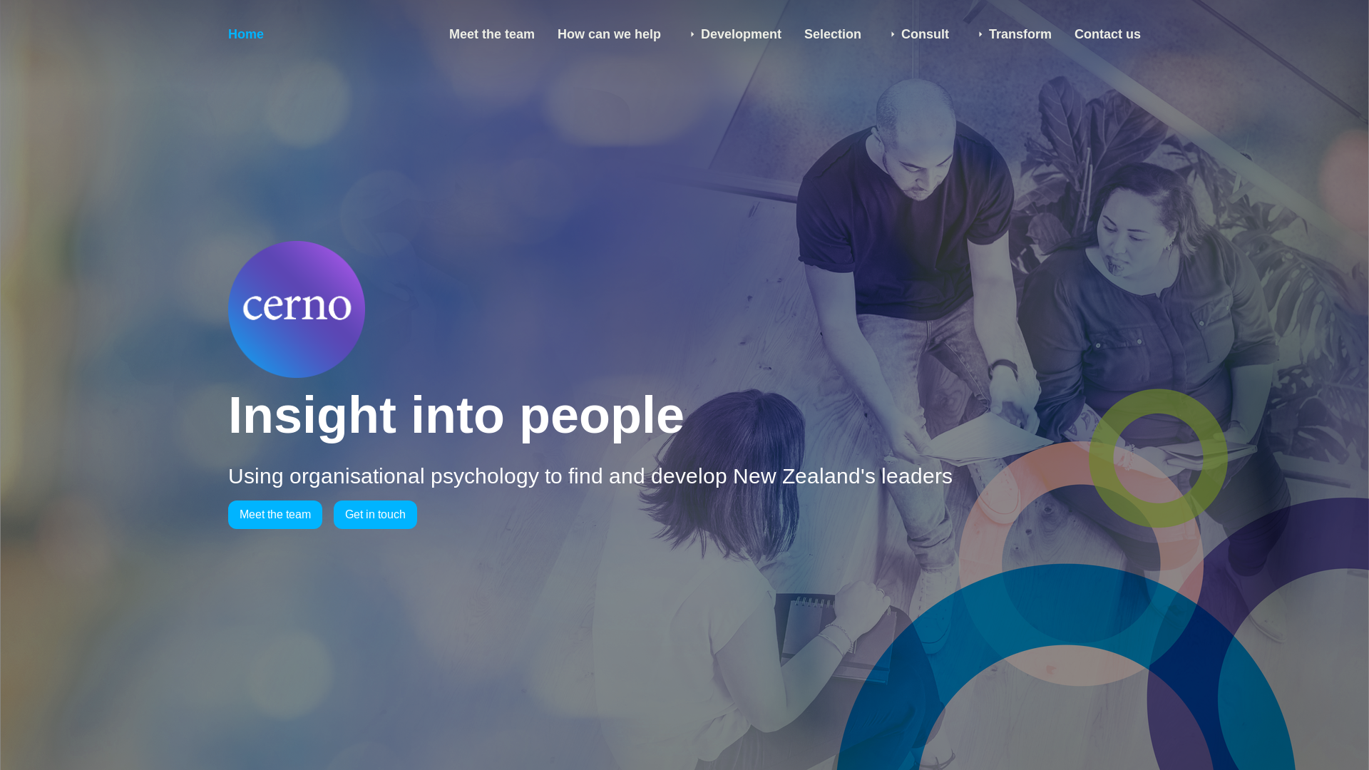 website screenshot of https://cerno-co-nz.pages.dev/
