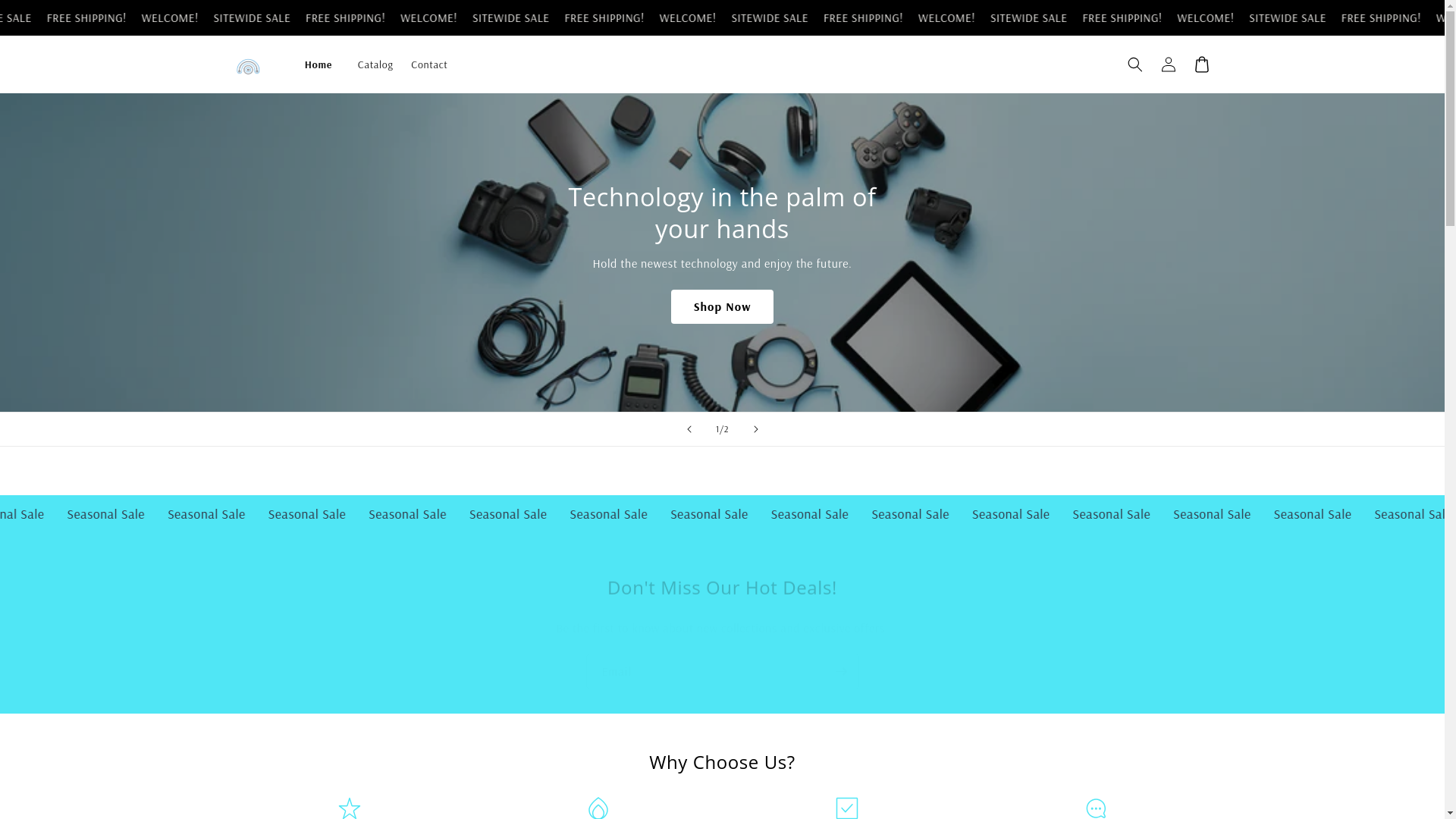 website screenshot of https://interax.store/