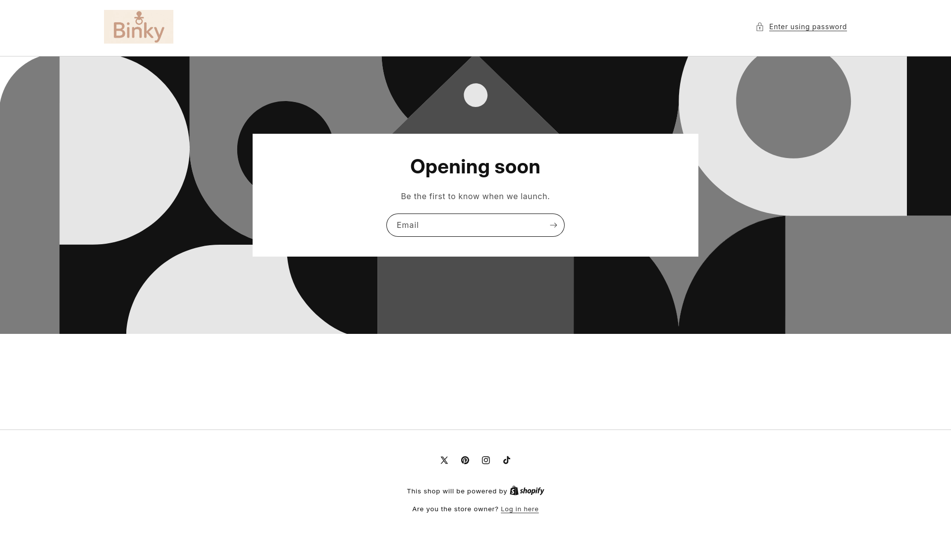 website screenshot of https://binkybabystore.com/