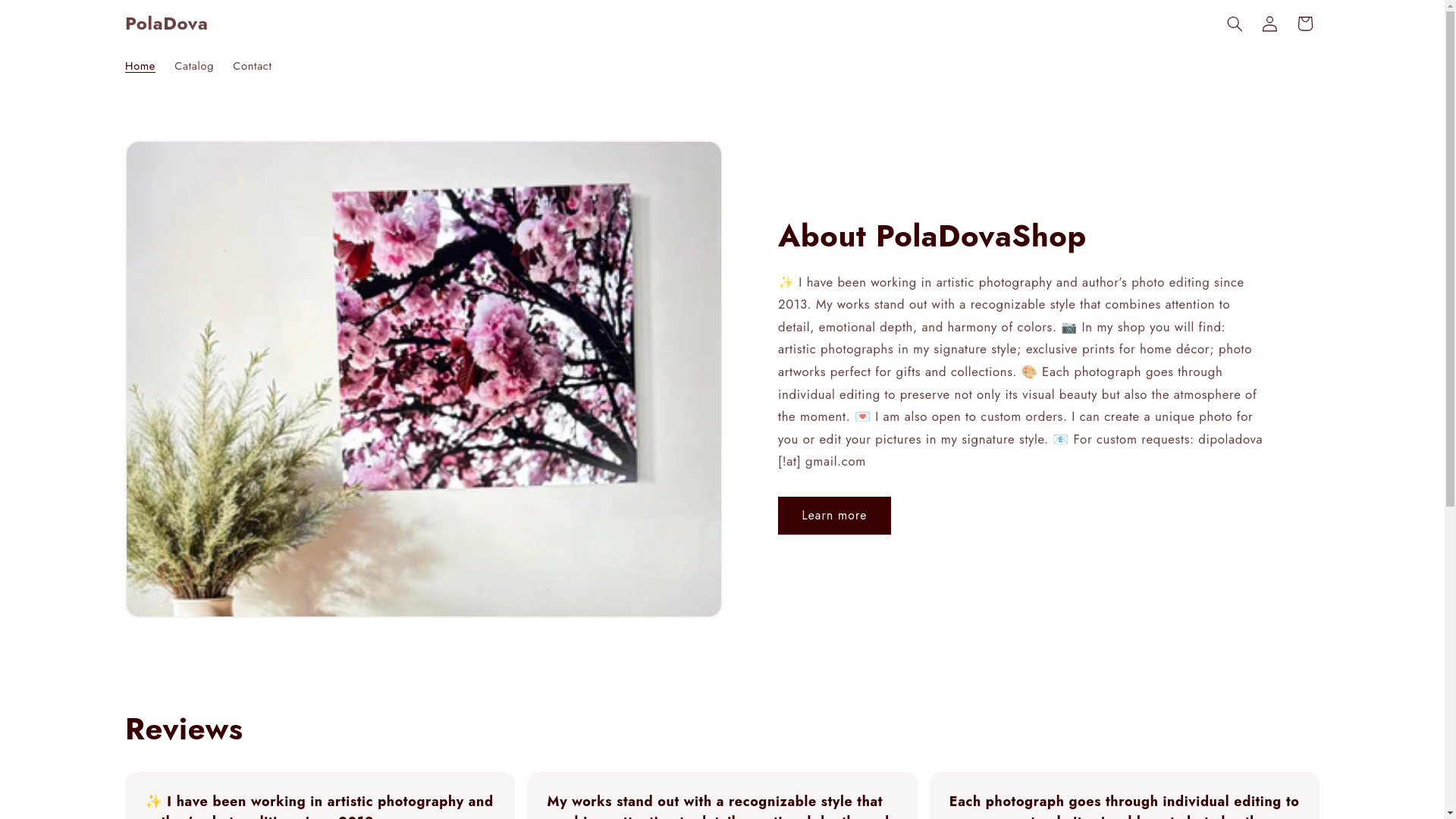 website screenshot of https://poladovashop.com/