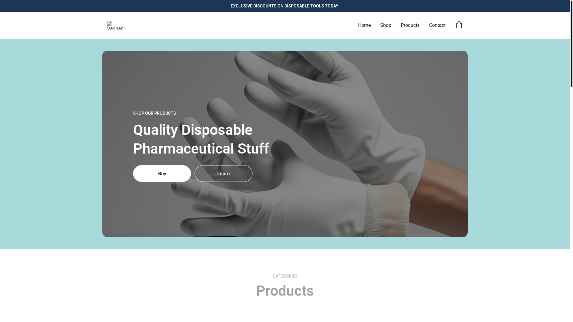website screenshot of https://vaghanidisposable.com/