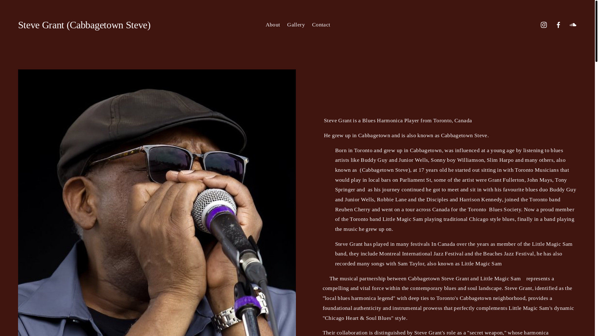 website screenshot of https://stevegrantcabbagetownsteve.ca/