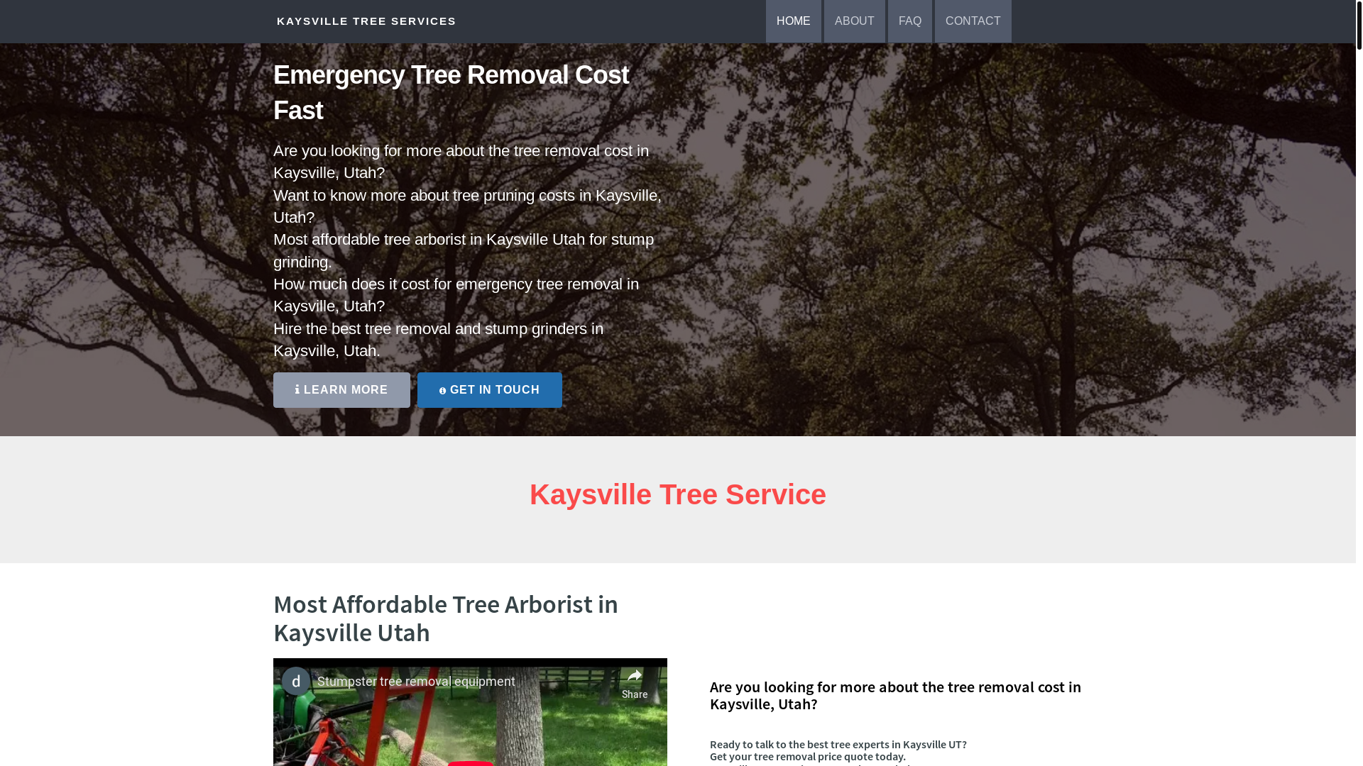 website screenshot of https://kaysville-tree-service-pros.pages.dev/