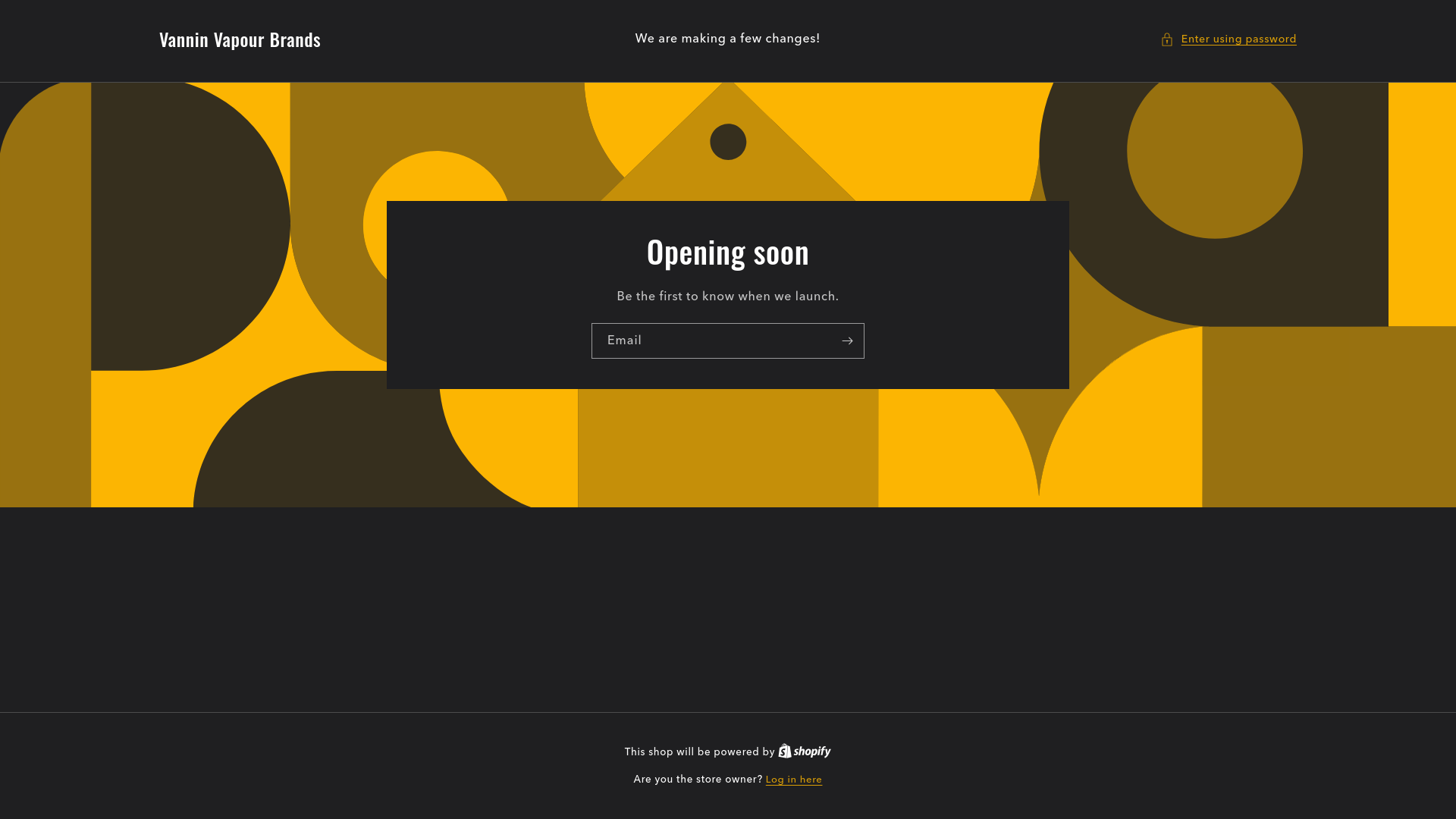 website screenshot of https://vanninvbrands.im/