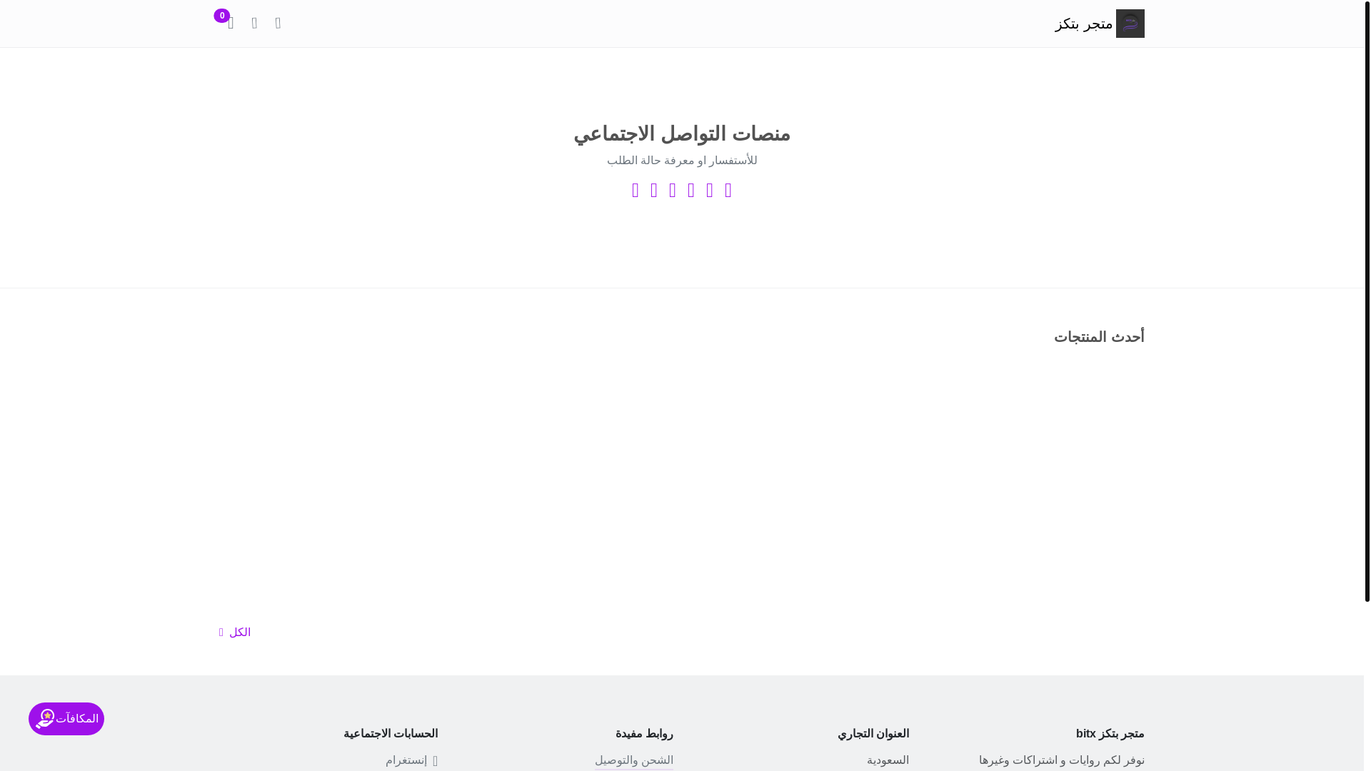 website screenshot of https://bitxstore1334.com/