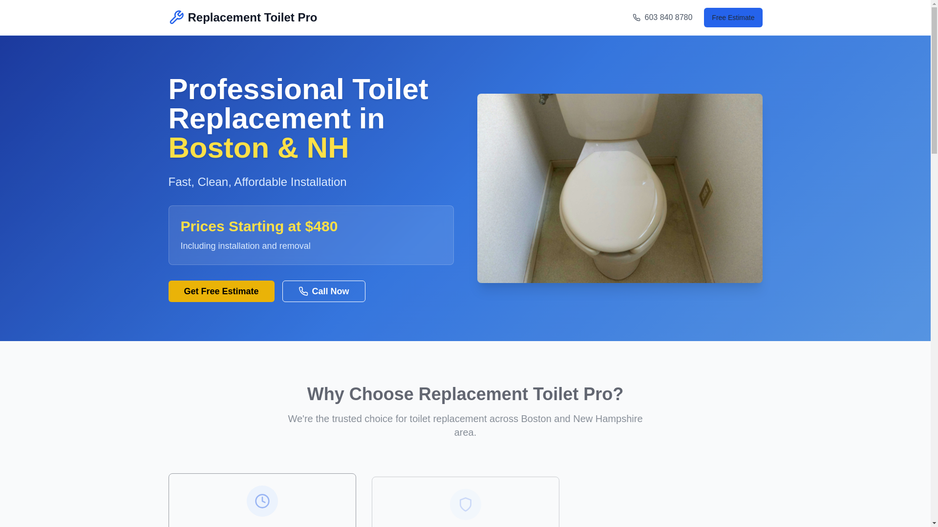 website screenshot of https://toiletreplacementpro.com/