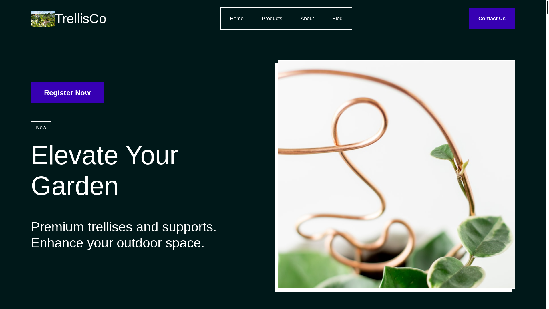 website screenshot of https://zenolapandrex.info/