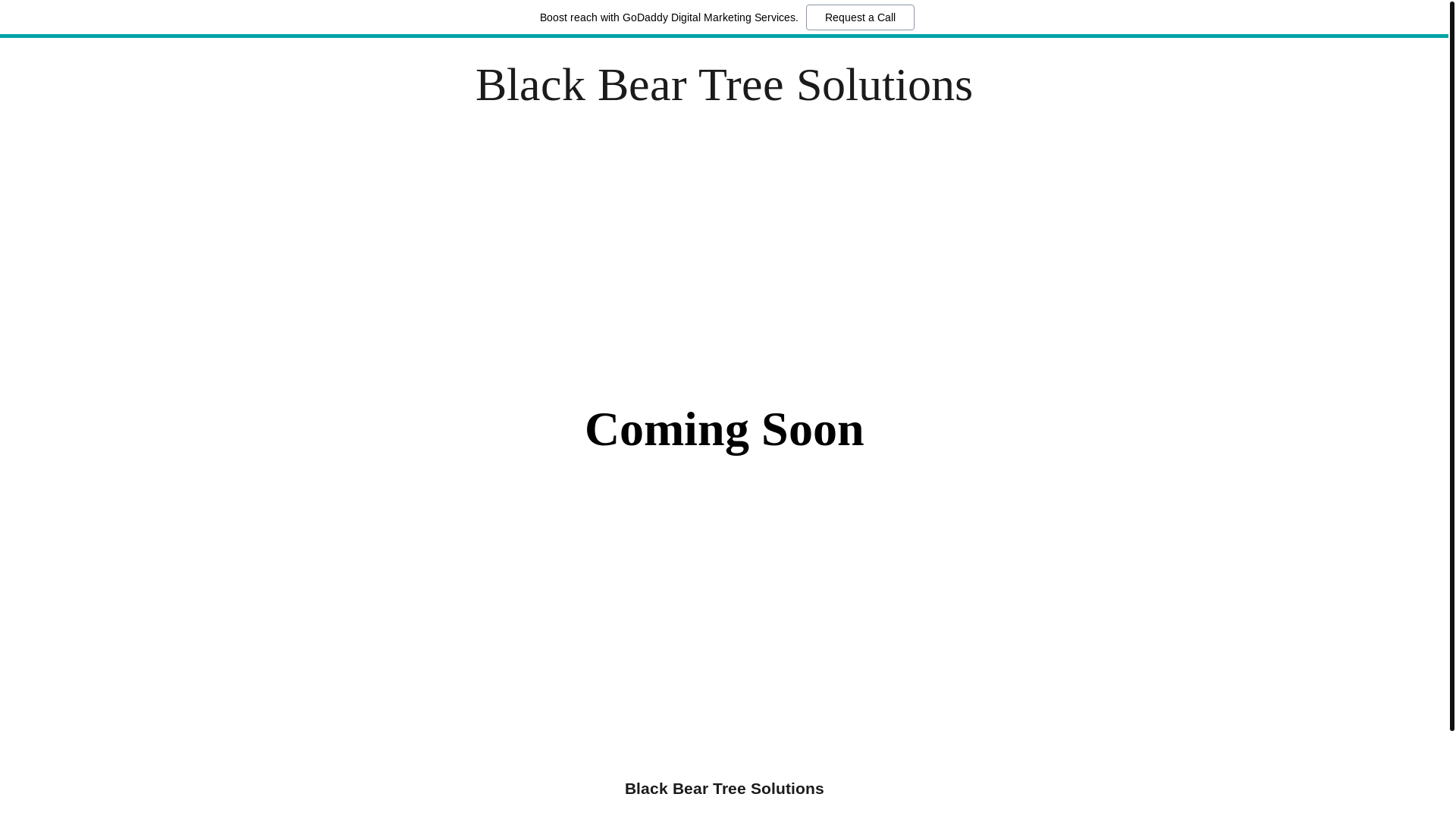 website screenshot of https://blackbeartreesolutions.com/
