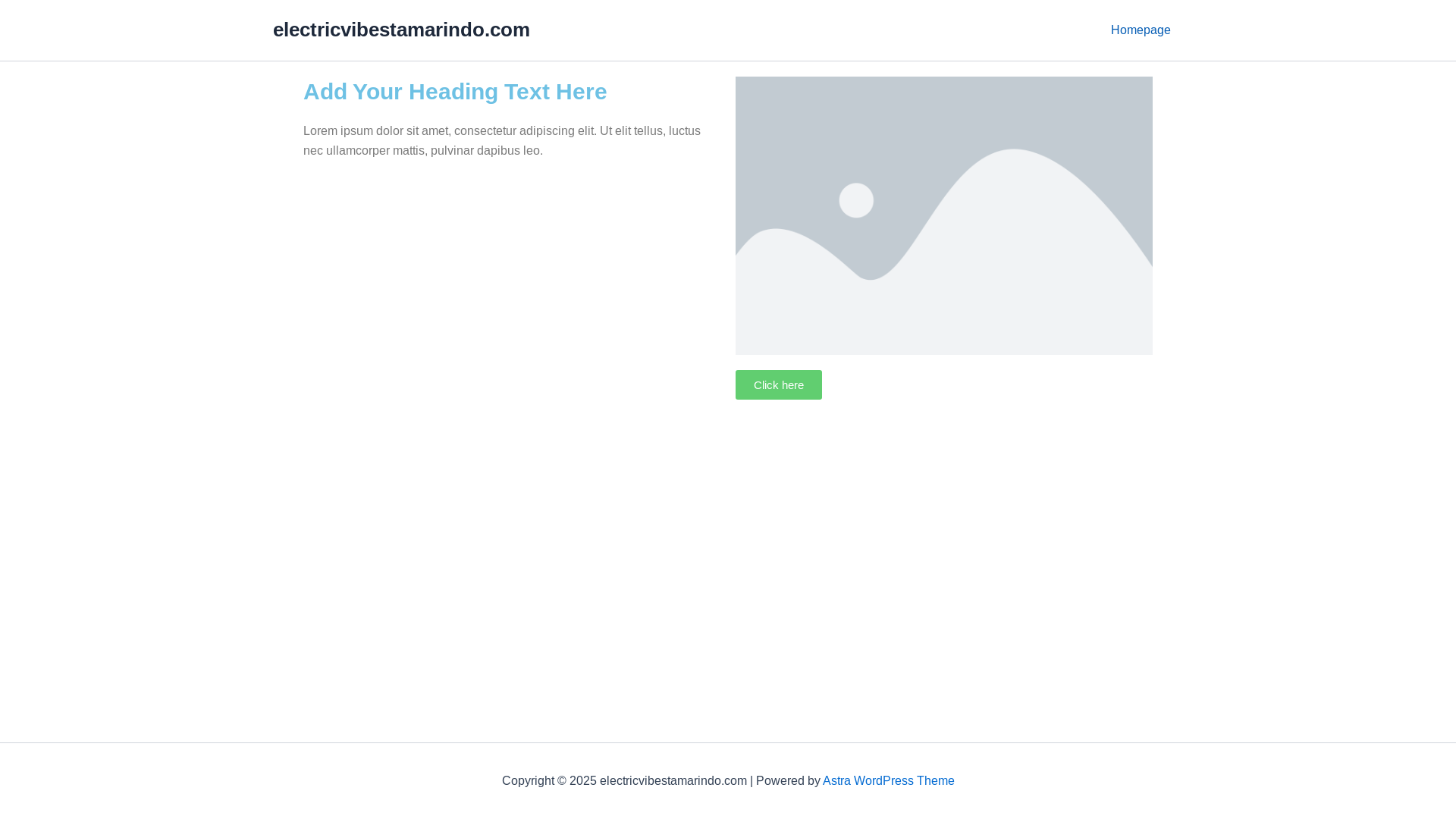 website screenshot of https://electricvibestamarindo.com/