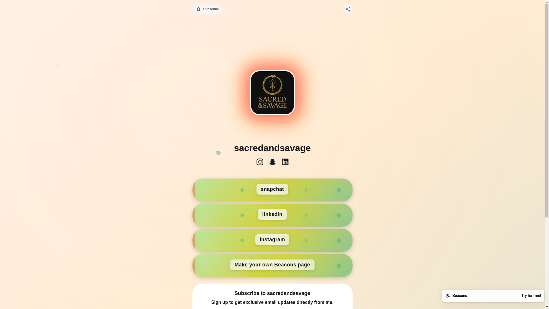 website screenshot of https://thesacredhustler.store/