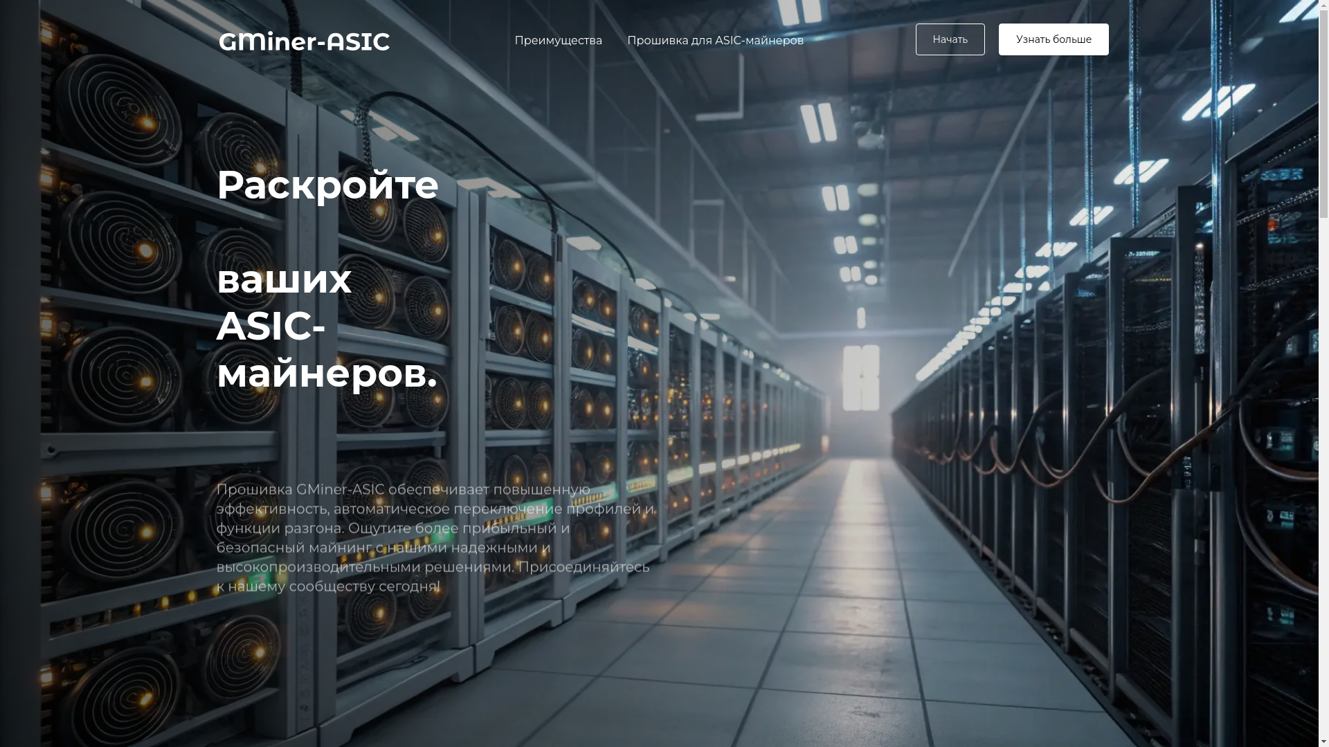 website screenshot of https://gminer-asic.com/