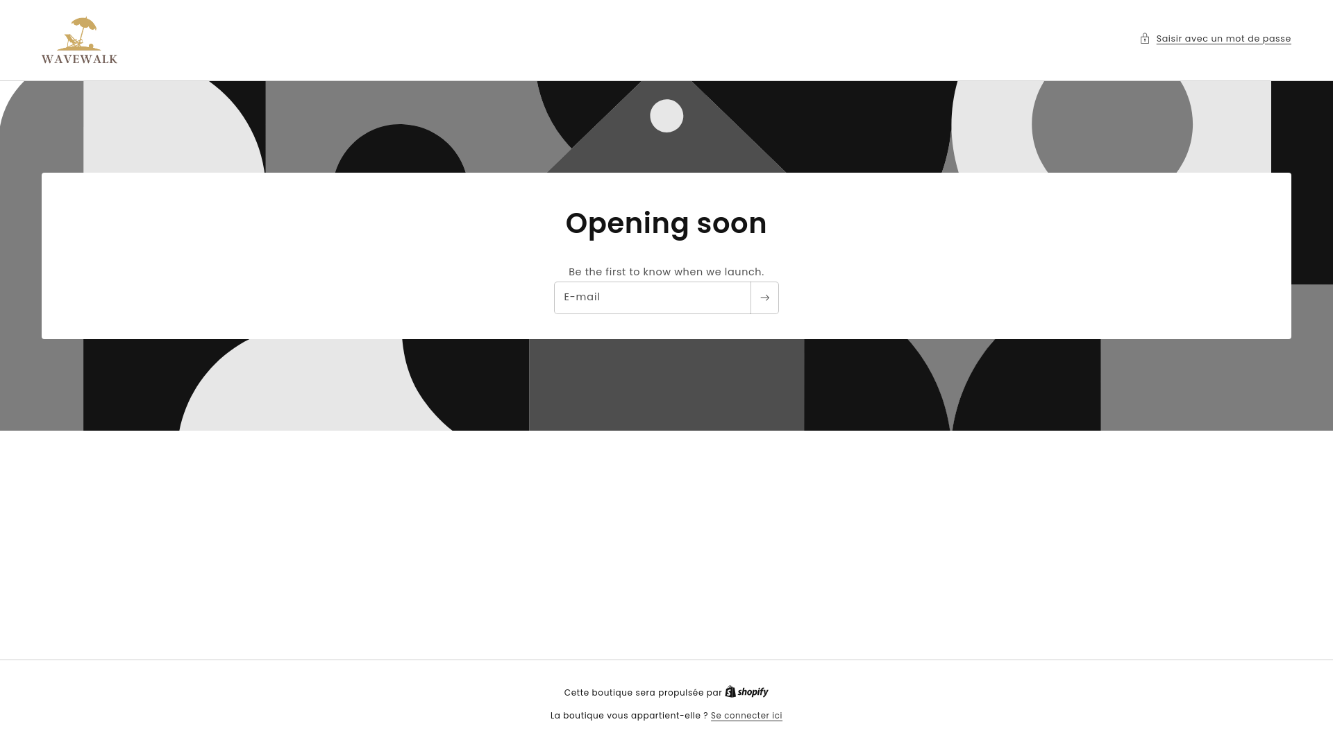 website screenshot of https://wavewalk.fr/