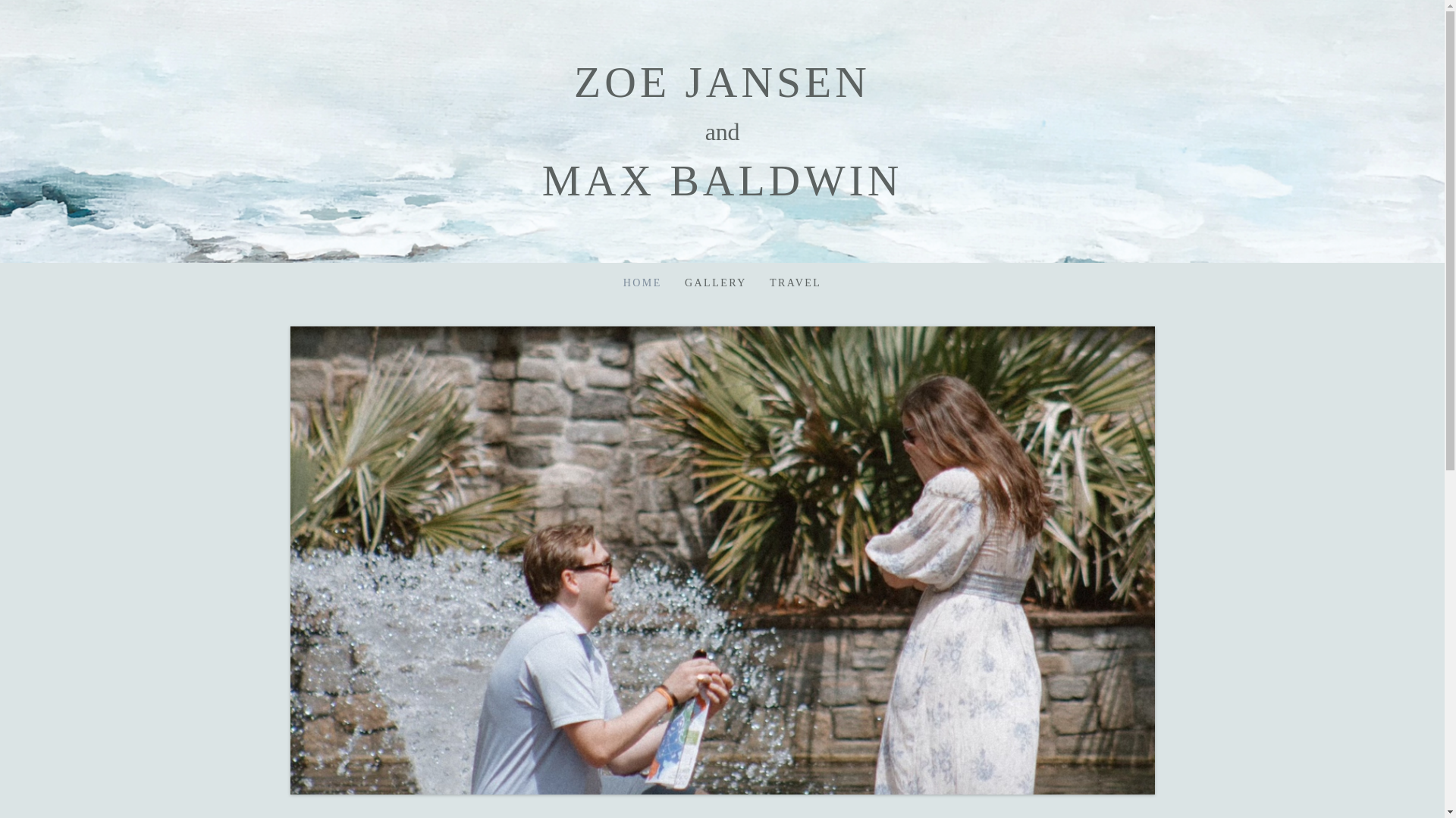 website screenshot of https://maxandzoe2026.com/