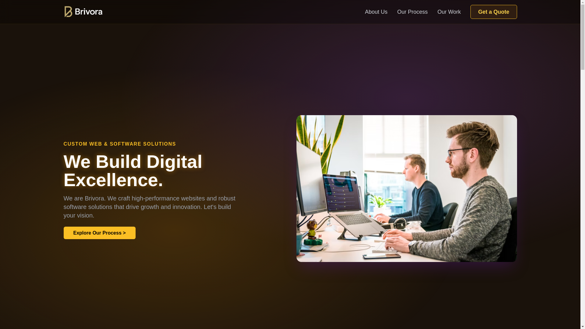 website screenshot of https://brivora.online/