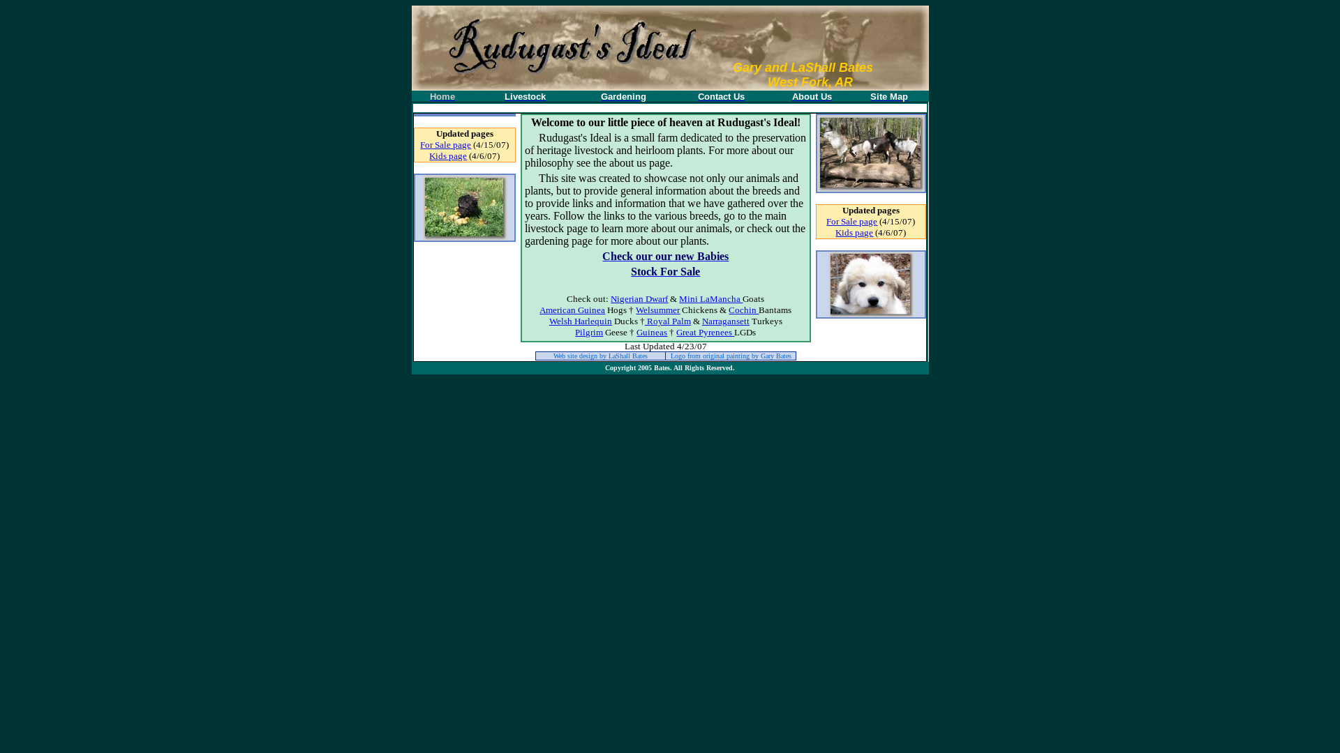 website screenshot of https://rudugastsideal.pages.dev/