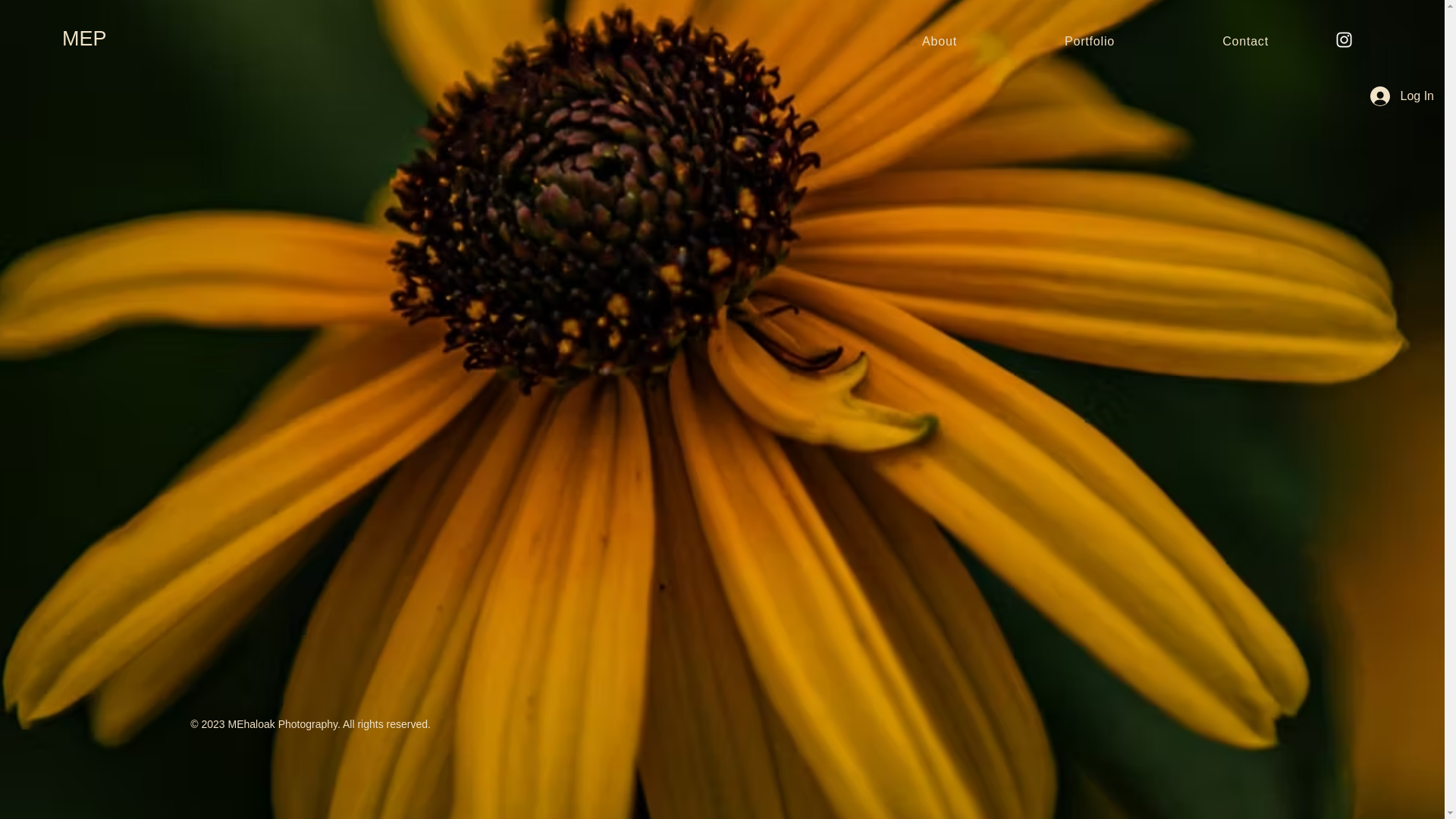 website screenshot of https://ehaloakphotography.com/