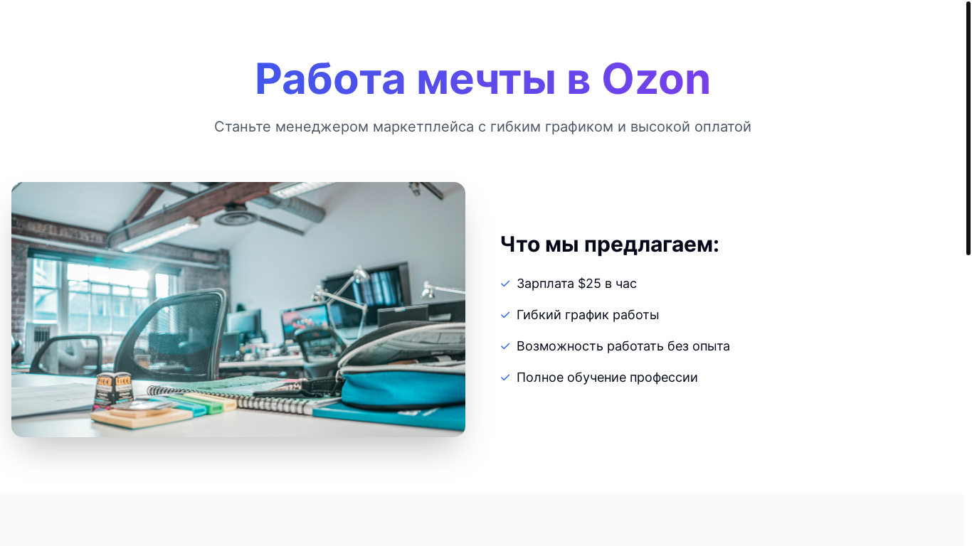 website screenshot of https://ozonworkmarket.pro/