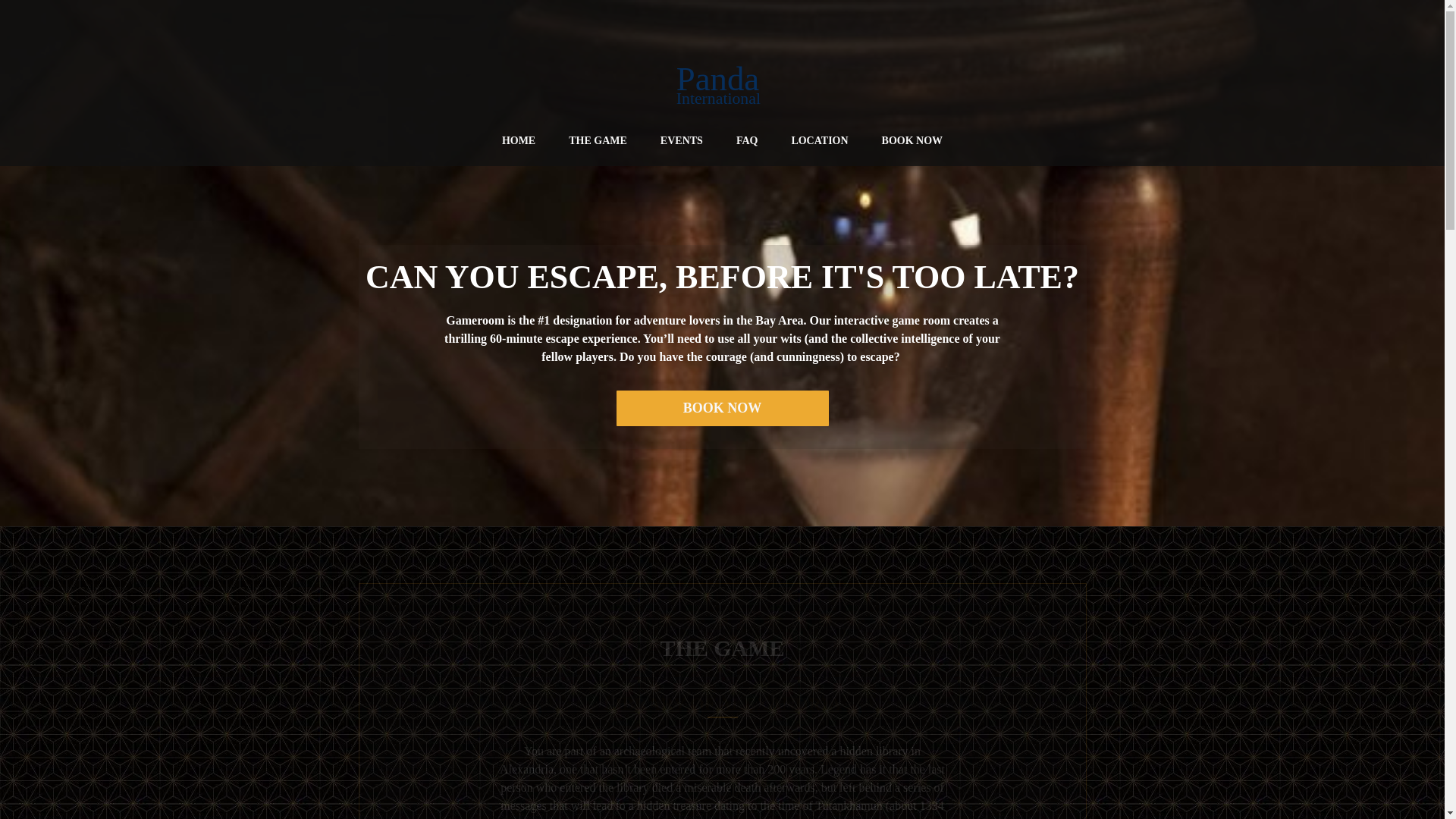 website screenshot of https://pandainternationalco.com/