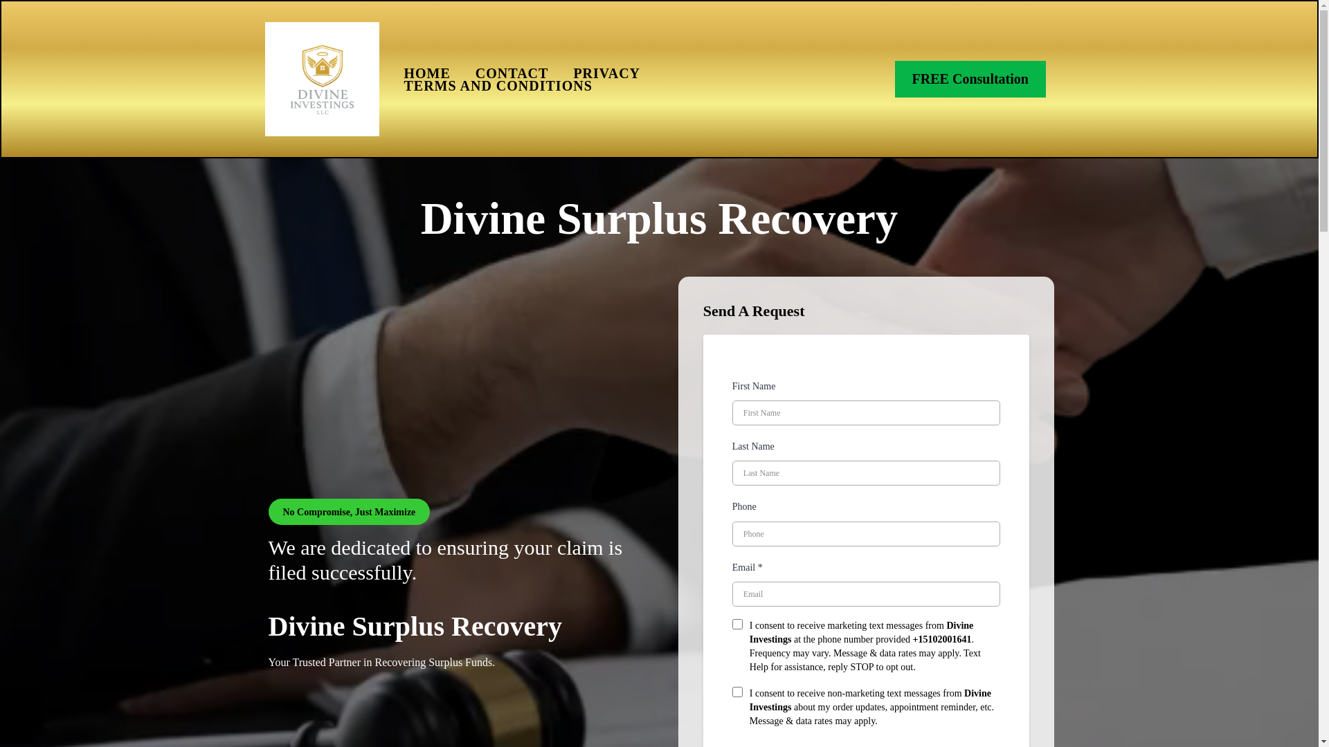 website screenshot of https://divineinvestings.com/