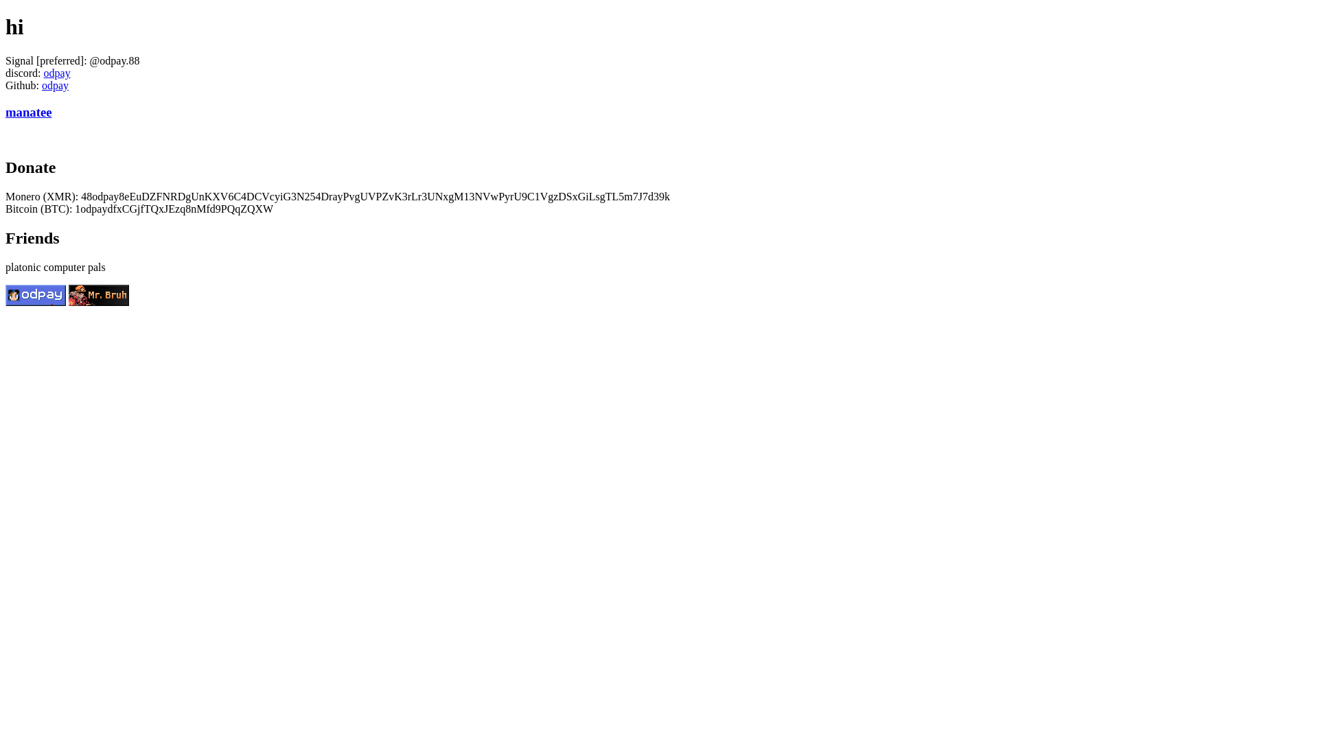 website screenshot of https://odpay-net.pages.dev/
