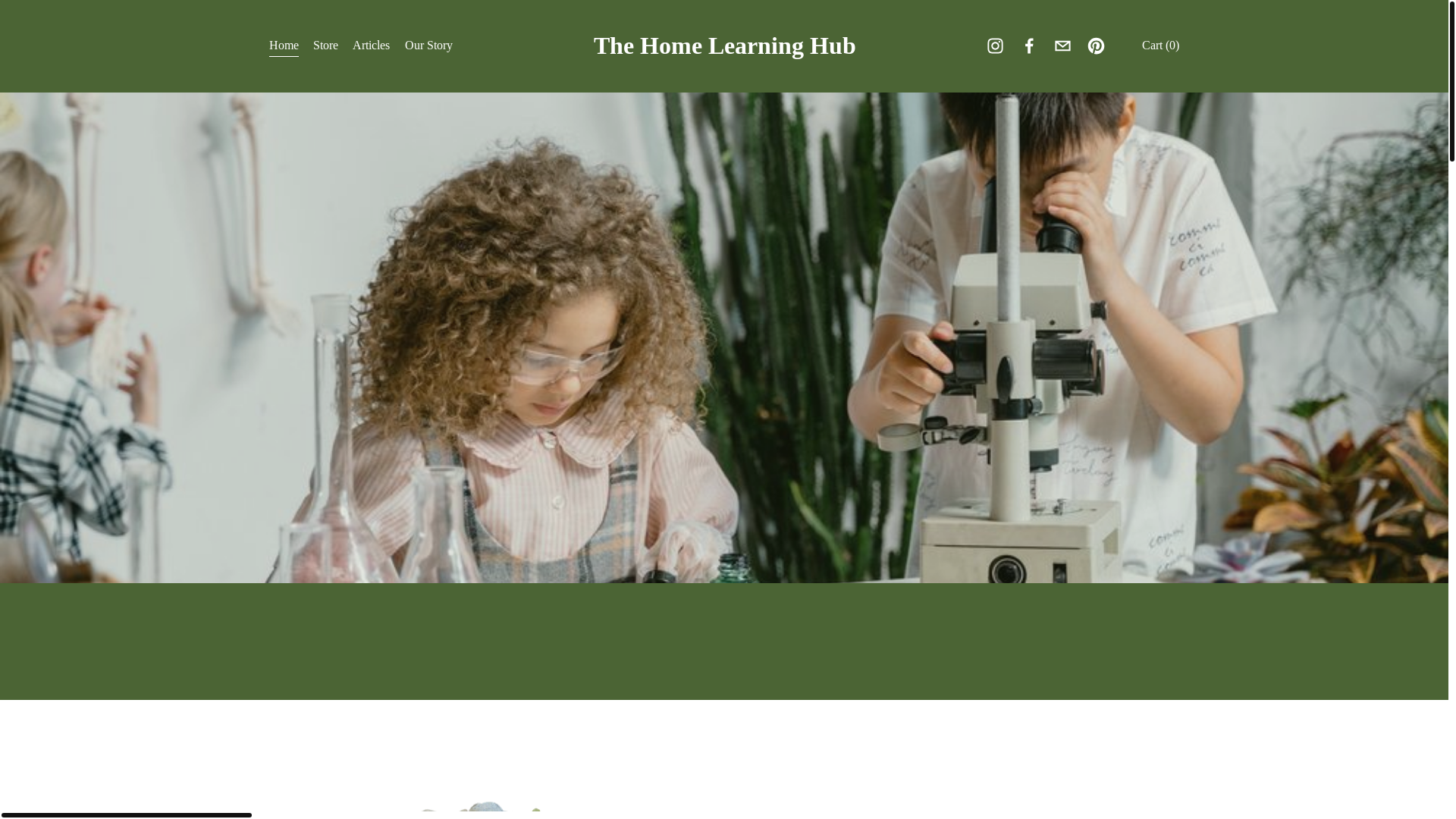 website screenshot of https://thehomelearninghub.online/
