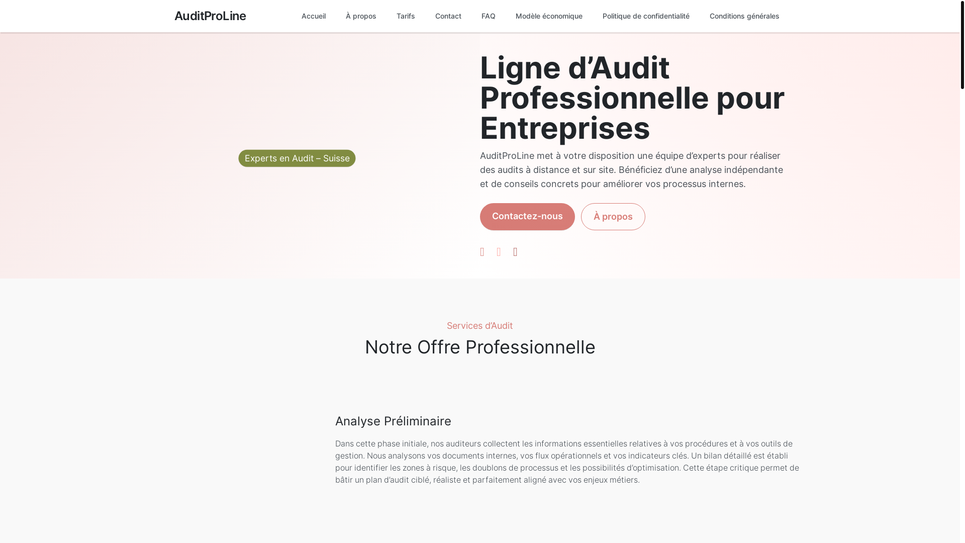 website screenshot of https://auditproline.com/